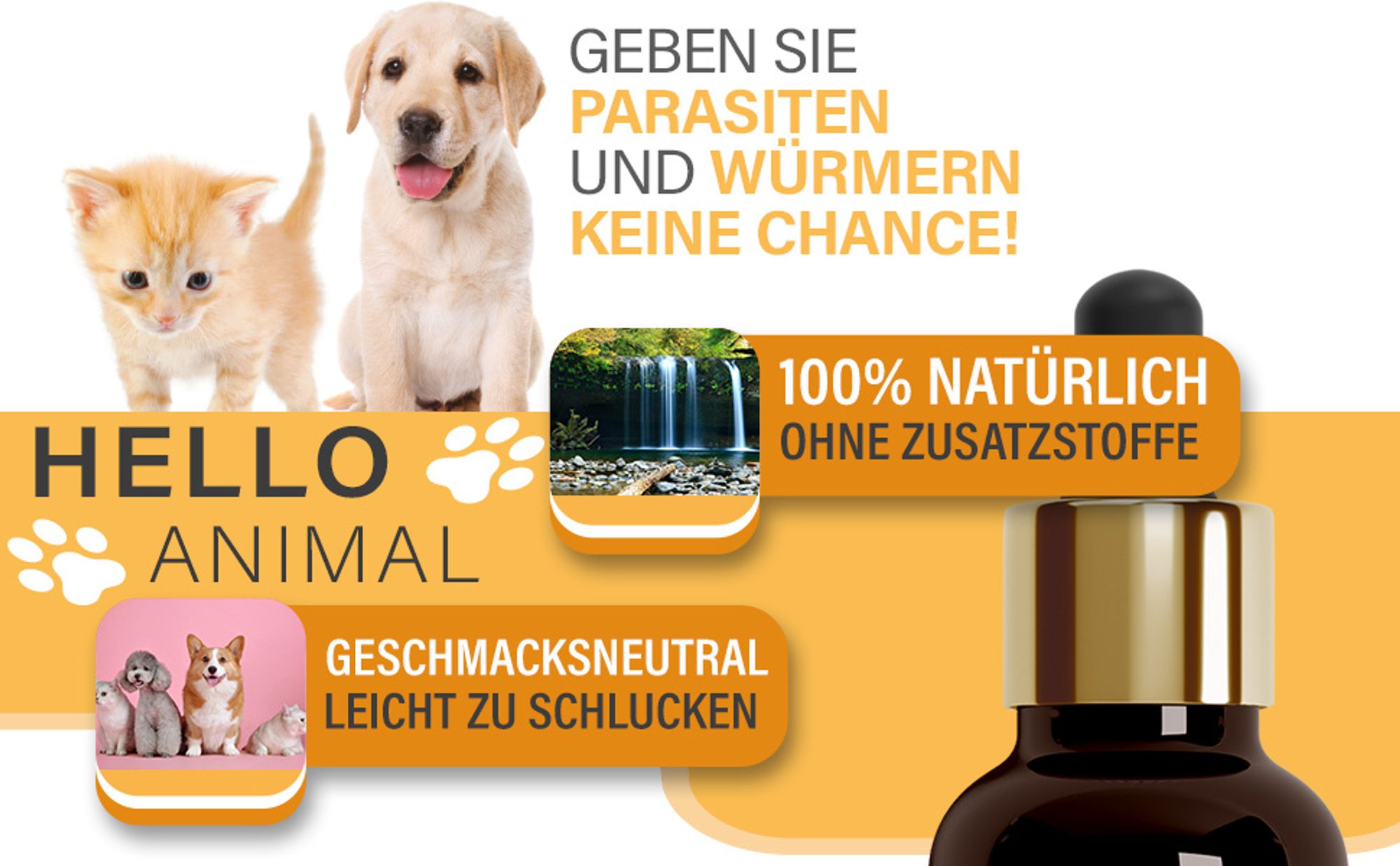 Hello Animal® Wurm Liquid – Entwurmungskur für Hunde, Katzen, Kaninchen & Geflügel – bei Wurmbefall - Wurmmittel Hund - entwurmen