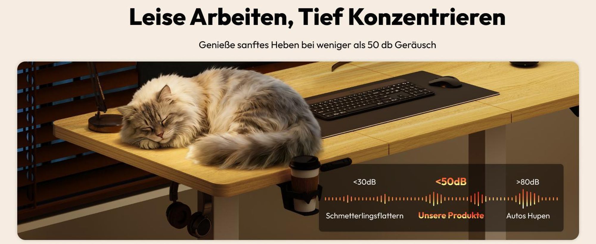 SANODESK QS1 Höhenverstellbarer Schreibtisch 200x80cm elektrisch 4 Memory-Funktion Antikollisionsschutz 70 kg Tragkraft Haken Kabelmanagement (Ahorn)
