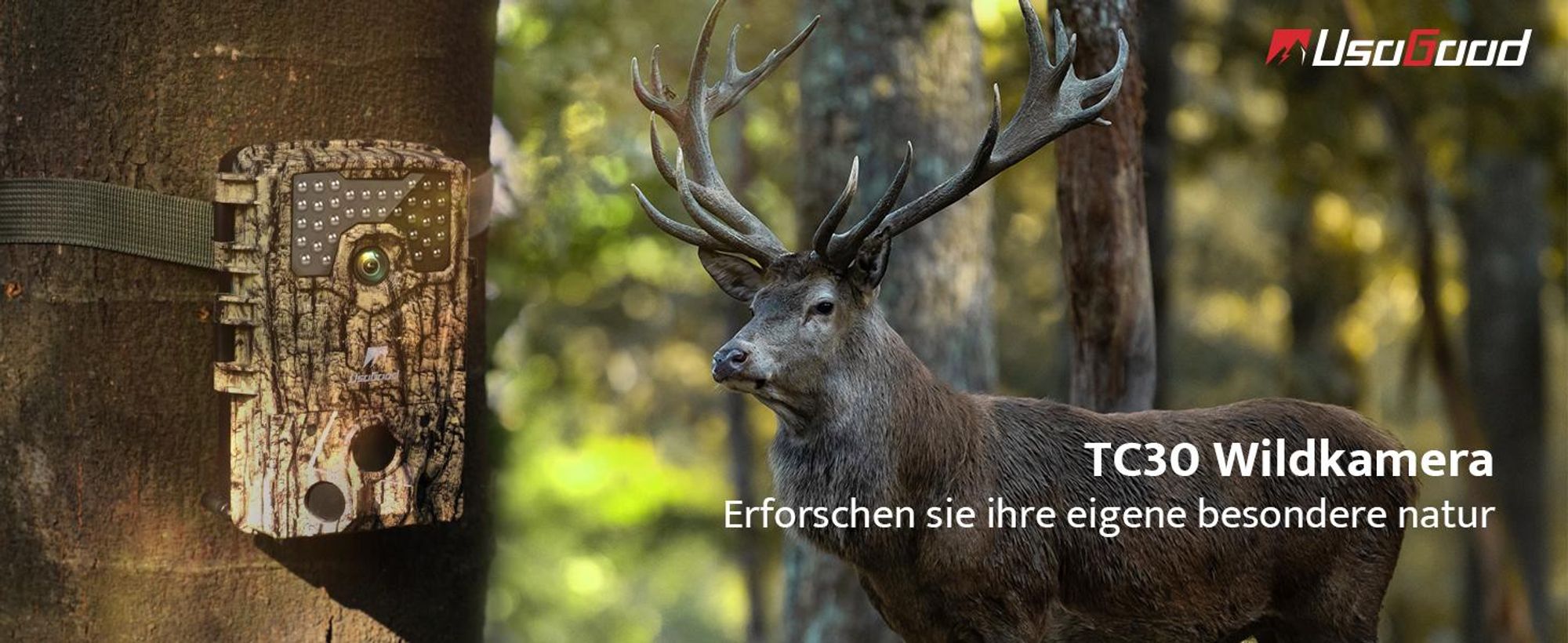 usogood 4K Wildtierkamera mit Bewegungsmelder Nachtsicht Jagdkamera mit 32GB Karte & 8 Batterien