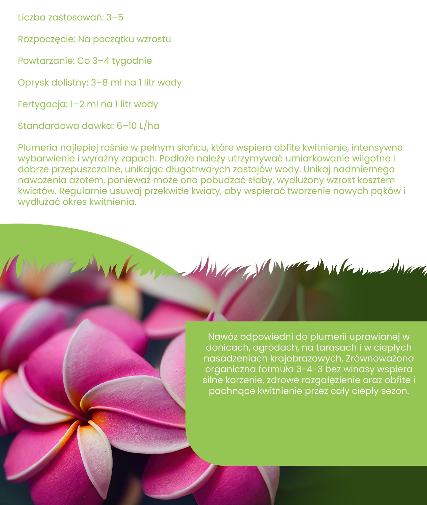Frangipani, płynny nawóz 2x1 litr – nawóz NPK 3-4-3 – przeznaczony dla roślin z rodzaju Plumeria – wspomaga ciągłe kwitnienie i zdrowy wzrost – produkt organiczny