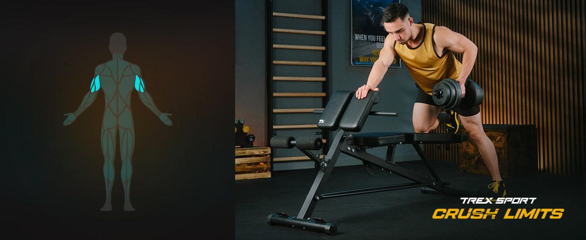 TREX SPORT Multifunktions Hantelbank TX-200B | Trainingsbank mit 7-fach verstellbarer Rückenlehne, Curlpult & Beinstrecker, bis 250 kg
