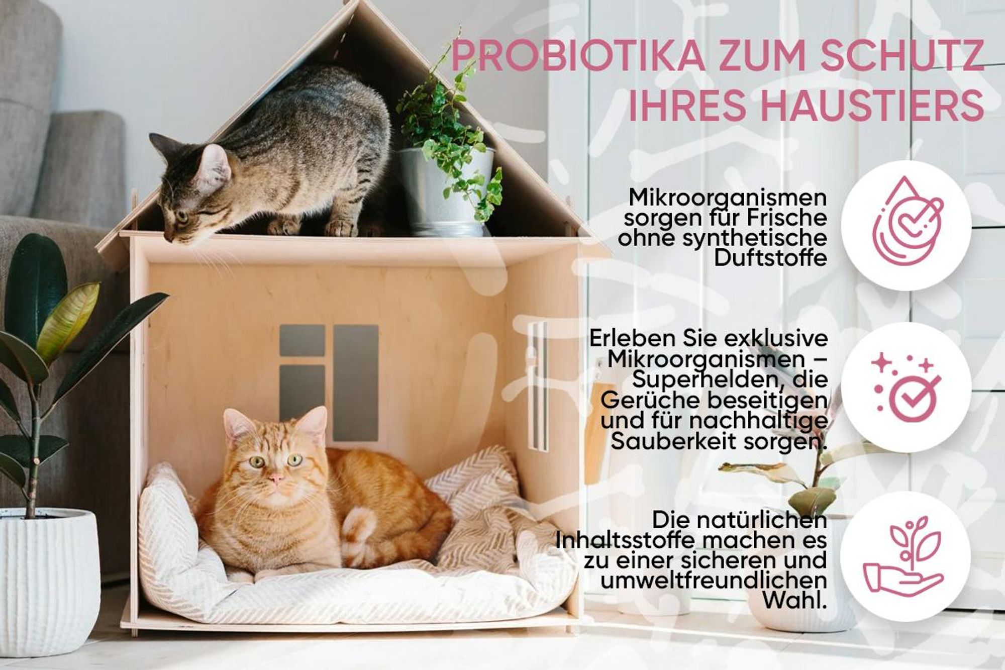 Baviette Augenpflege Katze 100 ml – milde Pflege mit Mikroorganismen für die äußere Augenpartie, geruchsneutral
