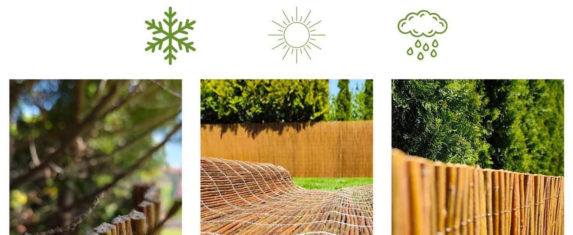 Weidenmatte 160 x 500 cm - Balkon Sichtschutz - Zaun Garten aus Holz - Sichtschutz Garten - Windschutz & Sonnenschutz - Schattenspender - 100% Natural