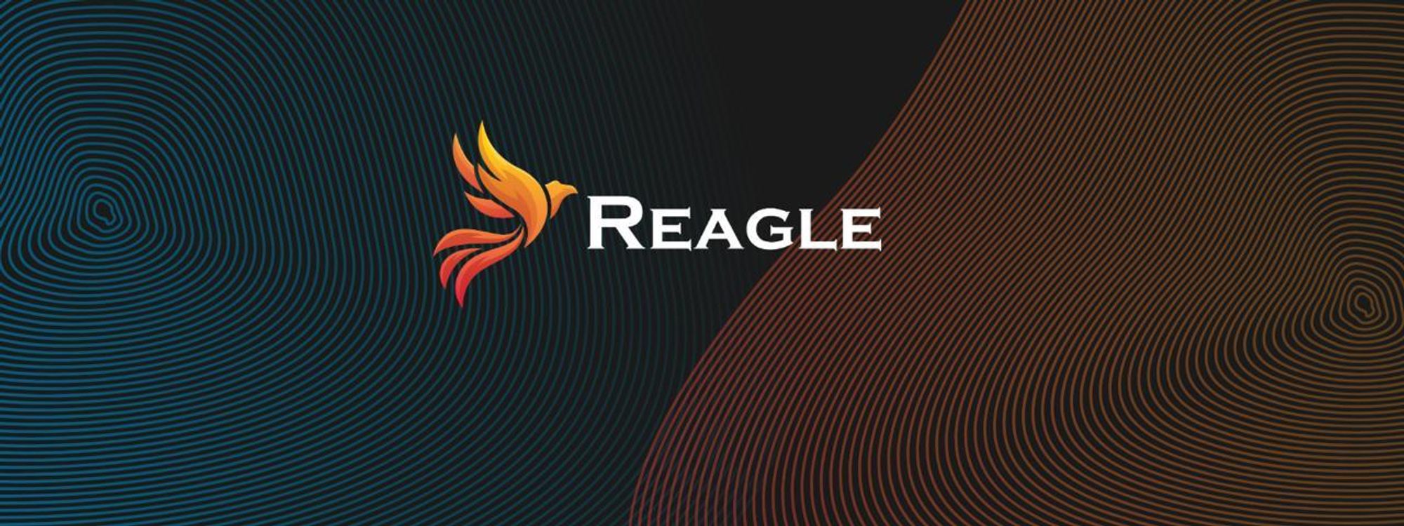 Festplattenkabel USB C USB A auf Micro USB B 3.2 10Gbps 0.5m Reagle 2 in 1 Schnelles Datenkabel Ladekabel für Externe Festplatte Kamera SSD Schwarz