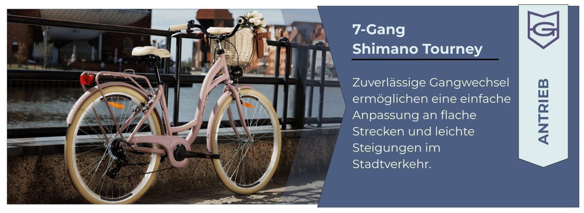 7-Gang Shimano Tourney