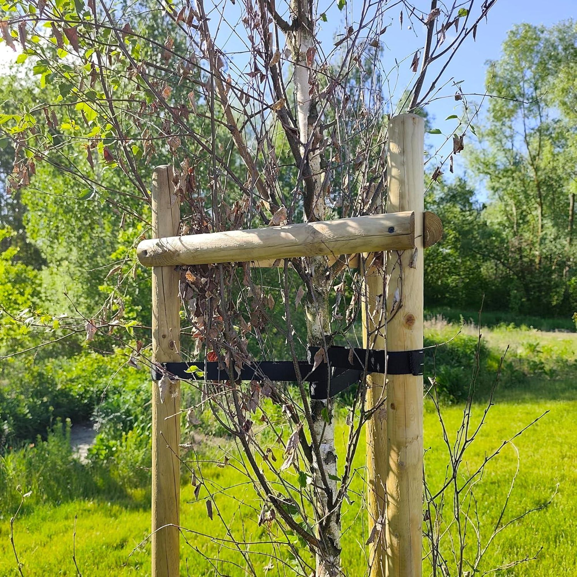 TIMBERMIK Baumstütze Komplettset Rankhilfe Baumpfahl ø 7cm Länge: 200 cm Pflanzenhalter 3 x Holzpfosten 3x Schwarze Baumgurte und 6x Halbpalisaden