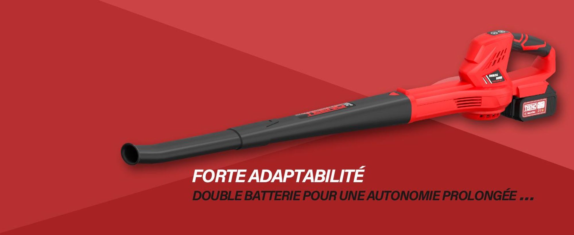 TEENO Souffleur de Feuilles Rechargeable, 21 V, 4,0 Ah, 6 Modes de Vitesse, Vitesse du Vent jusqu'à 210 km/h, Tuyau de soufflage Amovible