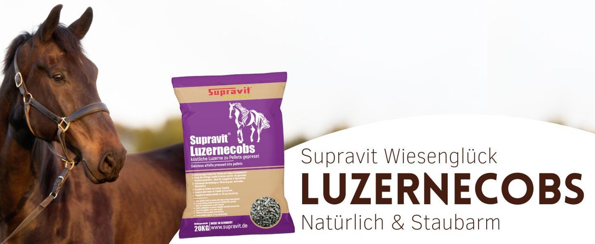 Pferd mit Produkt