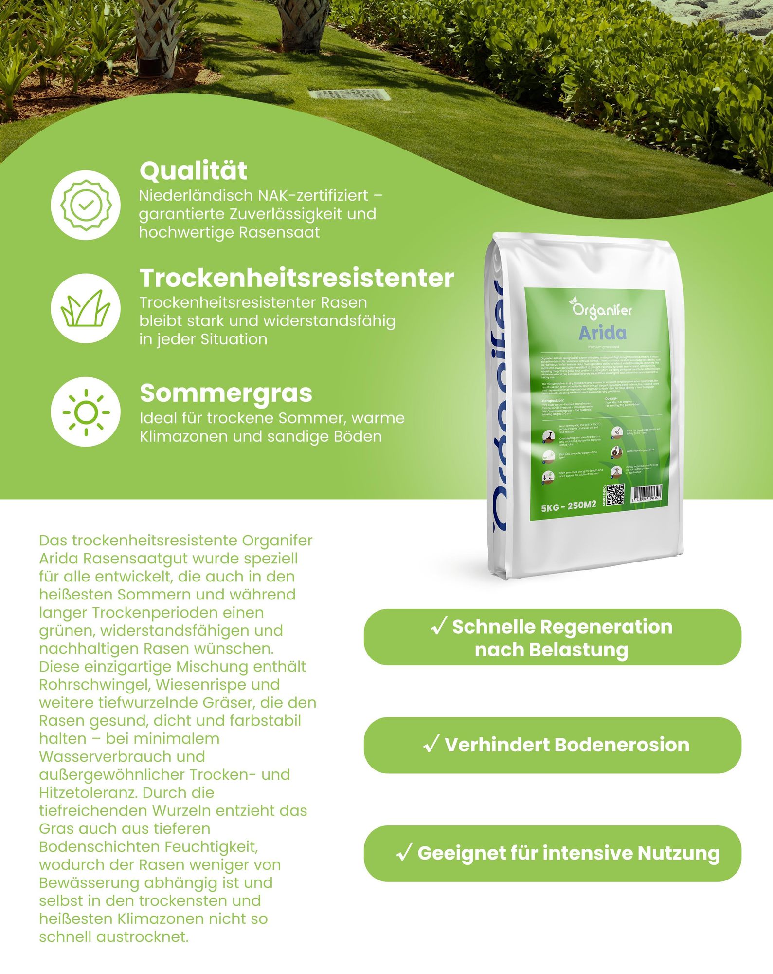 Dürreverträglicher Rasensamen Arida - 1 kg = 50 m² – Trockenrasen Saatgut für Sonne & Hitze - Organifer