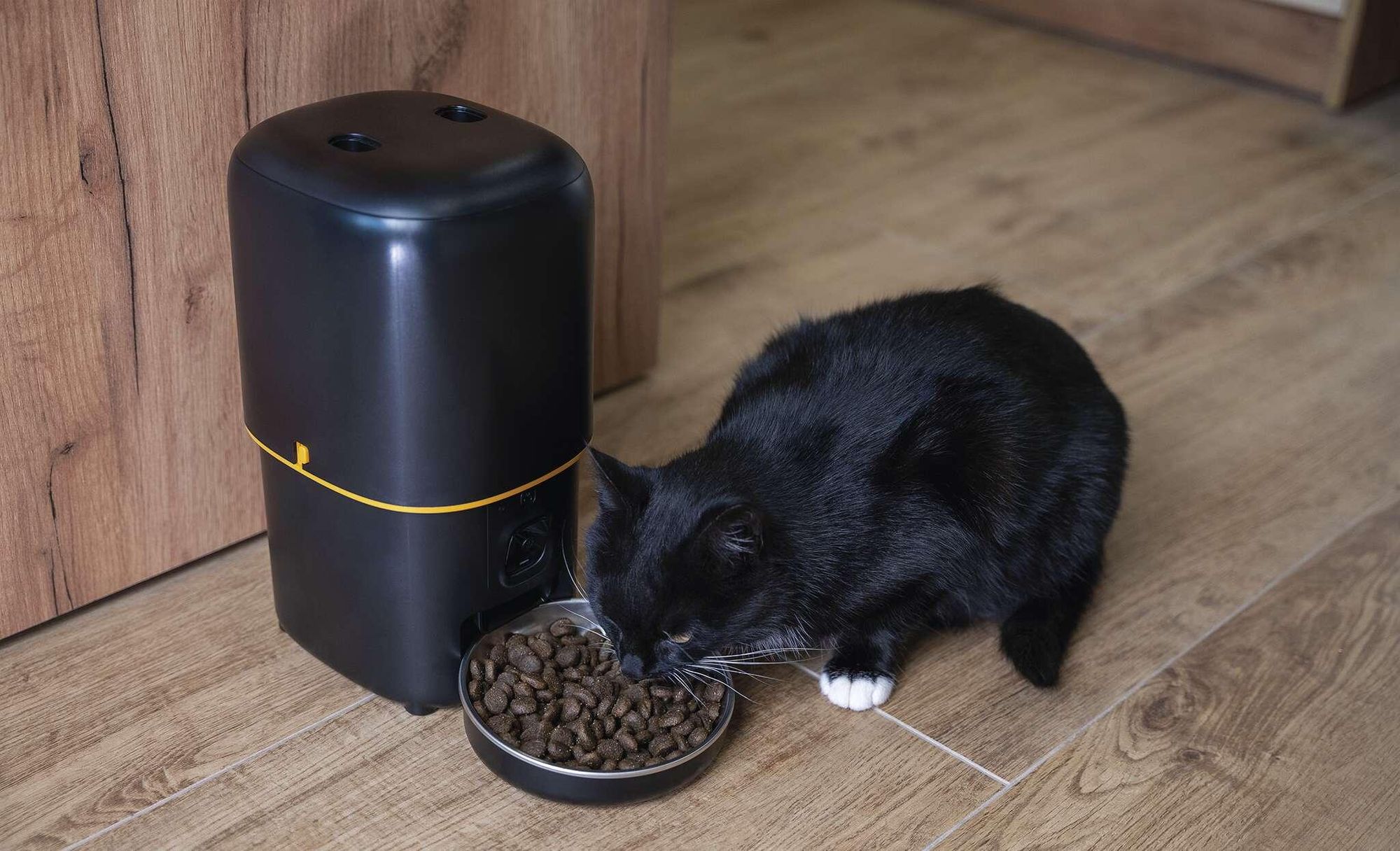 EMOS GoSmart automatické krmítko 4l, WLAN Pet Care s aplikací, pro kočky a psy s plánem, hlasovým záznamem, dávkováním 1-10 jídel, černá barva