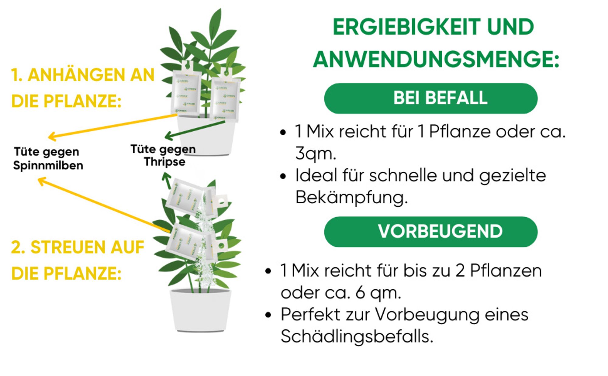 Power Raubmilben gegen Thripse und Spinnmilben, 3 Mix (6Tüten), Biologisches Mittel zur effektiven Thripse & Spinnmilben Bekämpfung – GREEN GUARDIA