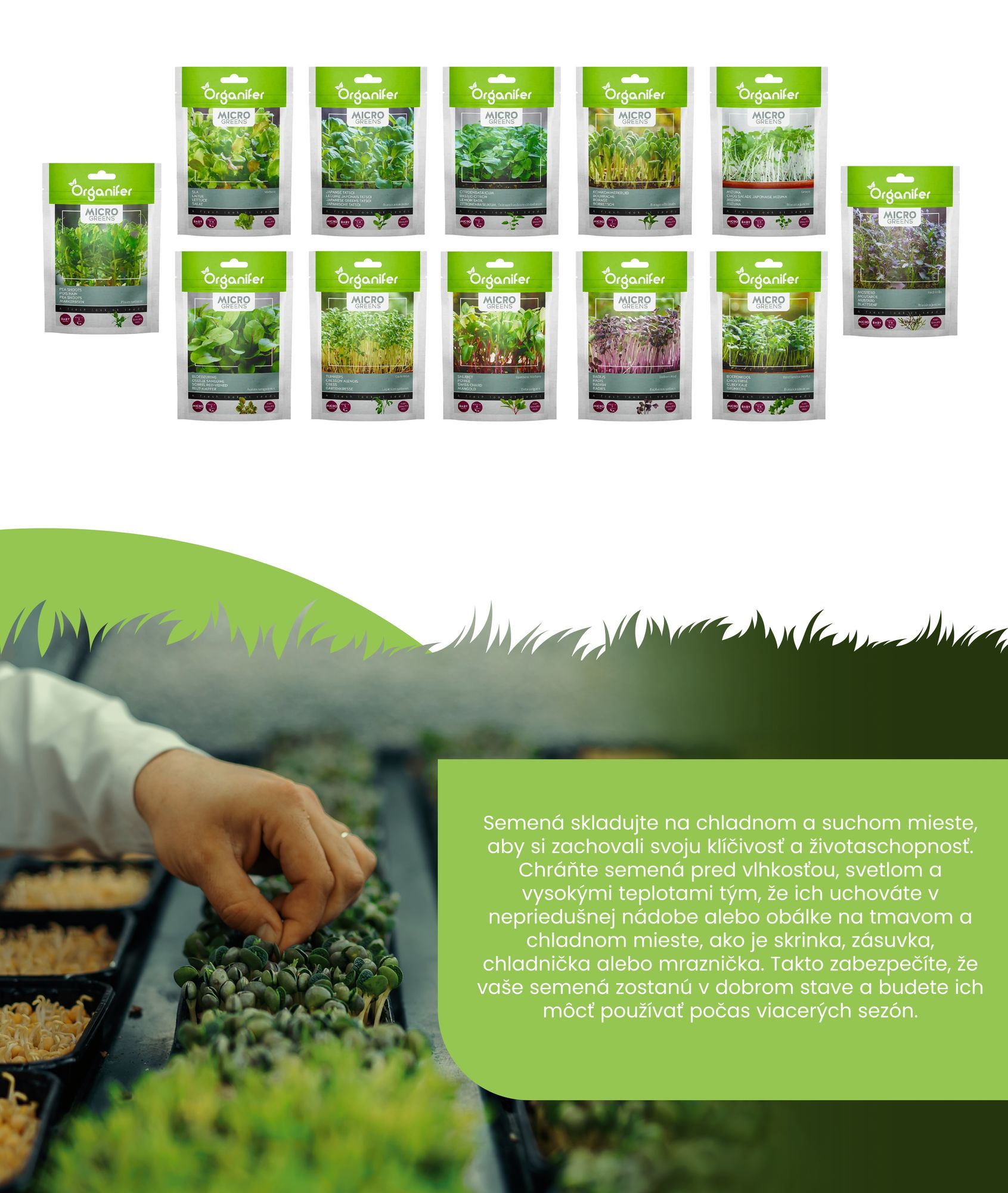 Balenie mikrozeleniny (Babyleaf & Microleaf) – 12 druhov