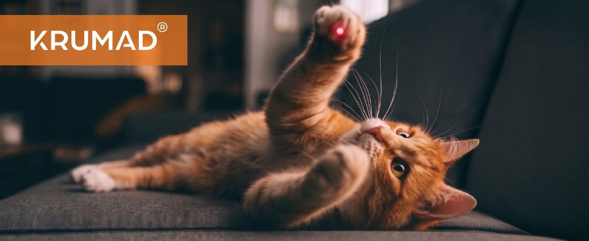 KRUMAD Laserpointer für Katzen, LED Katzenspielzeug 3 in 1 mit 3 Leuchtfarben, interaktives Spielzeug für Katzen, batteriebetriebener Laser