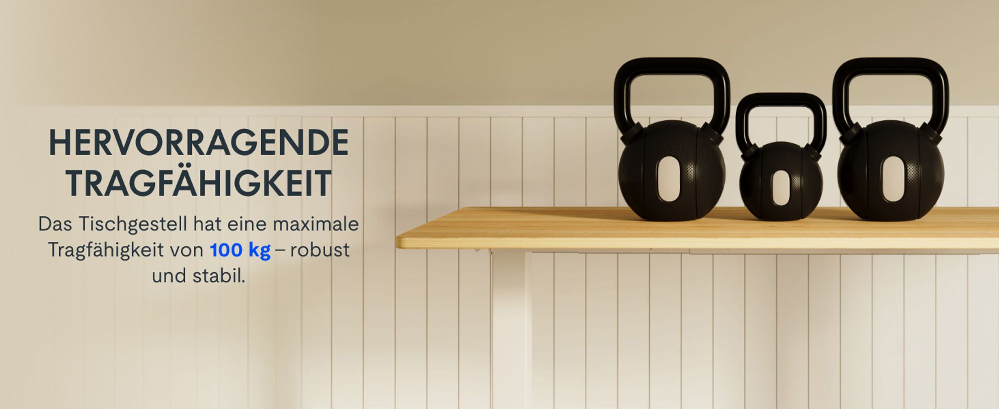 FlexiSpot höhenverstellbarer Schreibtisch elektrisch 140x80cm mit Dualmotor, 25MM einteiliger Tischplatte&3-fach Teleskop EC5 LITE (Ahorn)