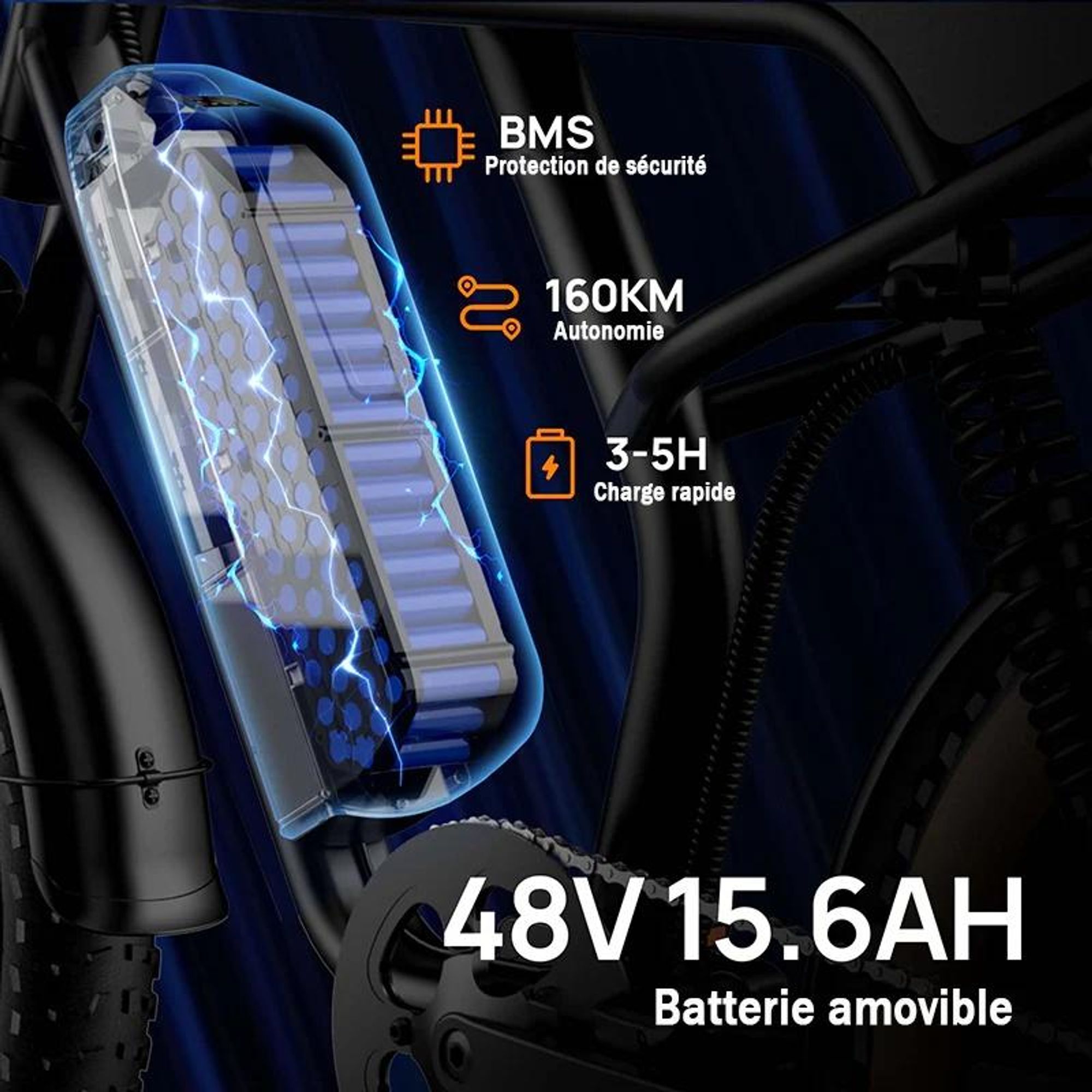 URLIFE T2 Vélo Électrique - Moteur 250W Batterie 48V 15.6Ah Pédalier assisté Freins à disque - NoirFreins à disque - Noir