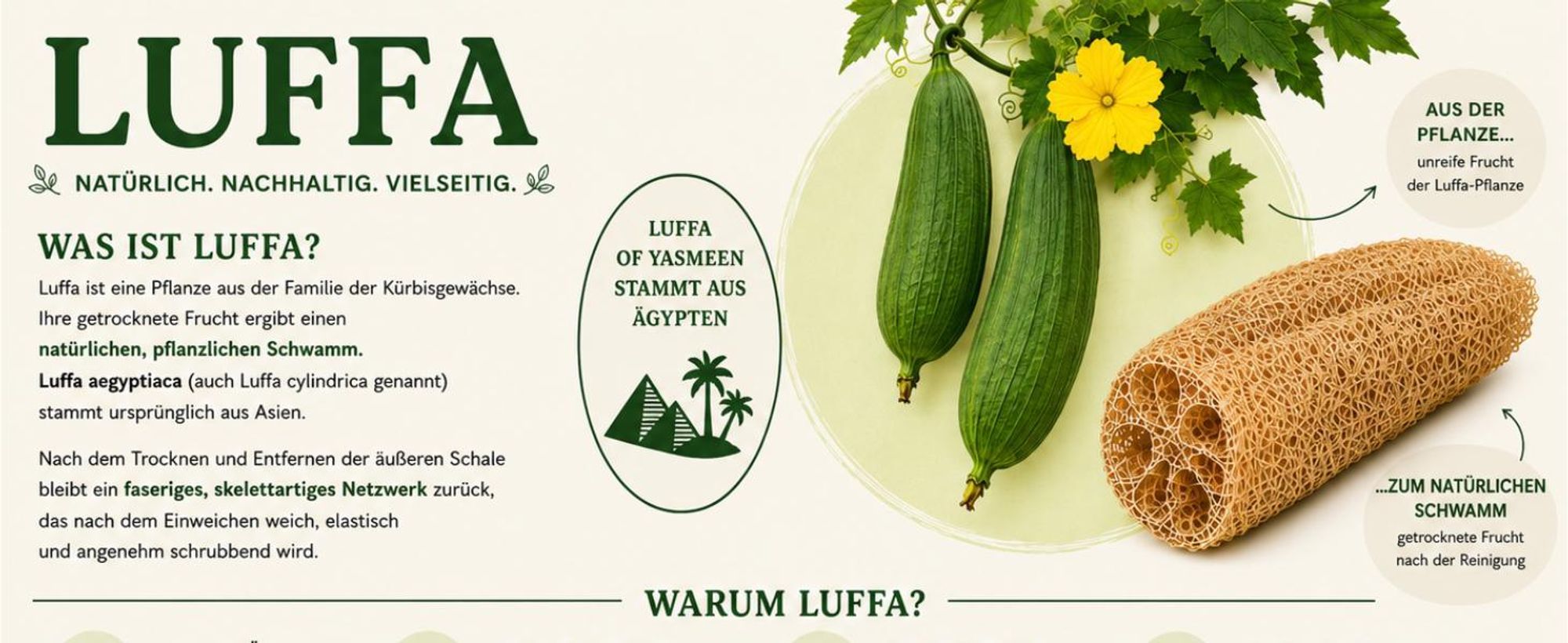 Luffa Waschschwamm 4er Set – Natürlicher Badeschwamm aus Luffa – 100% Natur Peeling Schwamm für Körper & Dusche, 12-15 cm