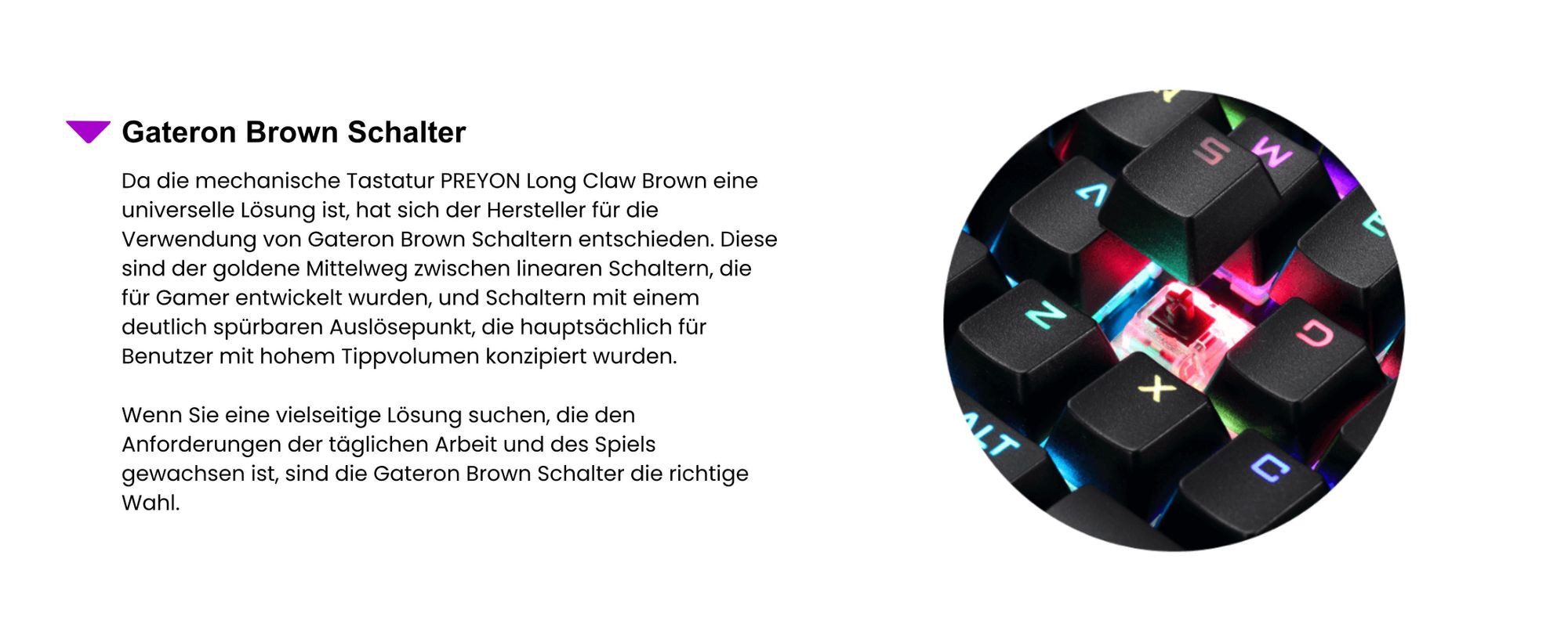 PREYON Long Claw Brown Tastatur Gaming-Tastatur - Handballenauflage - 104 Tasten - Gateron Brown Schalter - Aluminiumgehäuse - RGB-Beleuchtung - Beleuchtungsmodus - Software - USB-Durchgangsanschluss