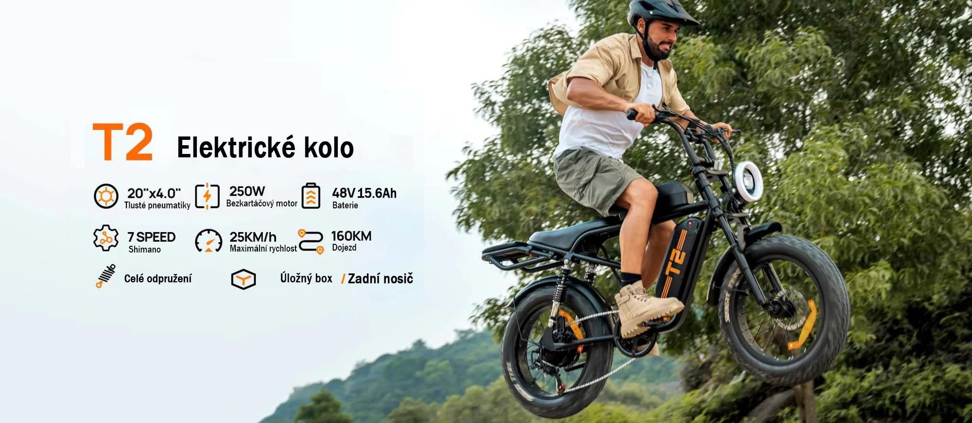 URLIFE T2 Elektrokolo - Motor 250W Baterie 48V 15.6Ah Kotoučové brzdy Asistent šlapání - Černá