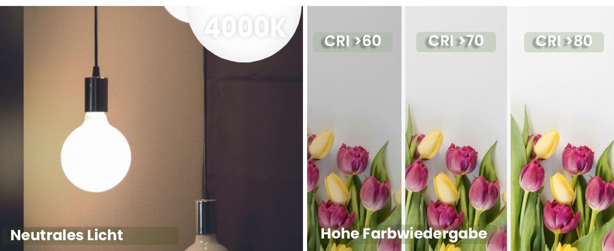 LUMILED 3x E27 LED Lampen G95 Globe matt 8W Ersetzt 75W Glühlampe 880lm Leuchtmittel 4000K Neutralweiß Glühbirne milchig Filament Glas Große Kugel Deko 3 Stück Birnen Haus Café Bar ?95mm