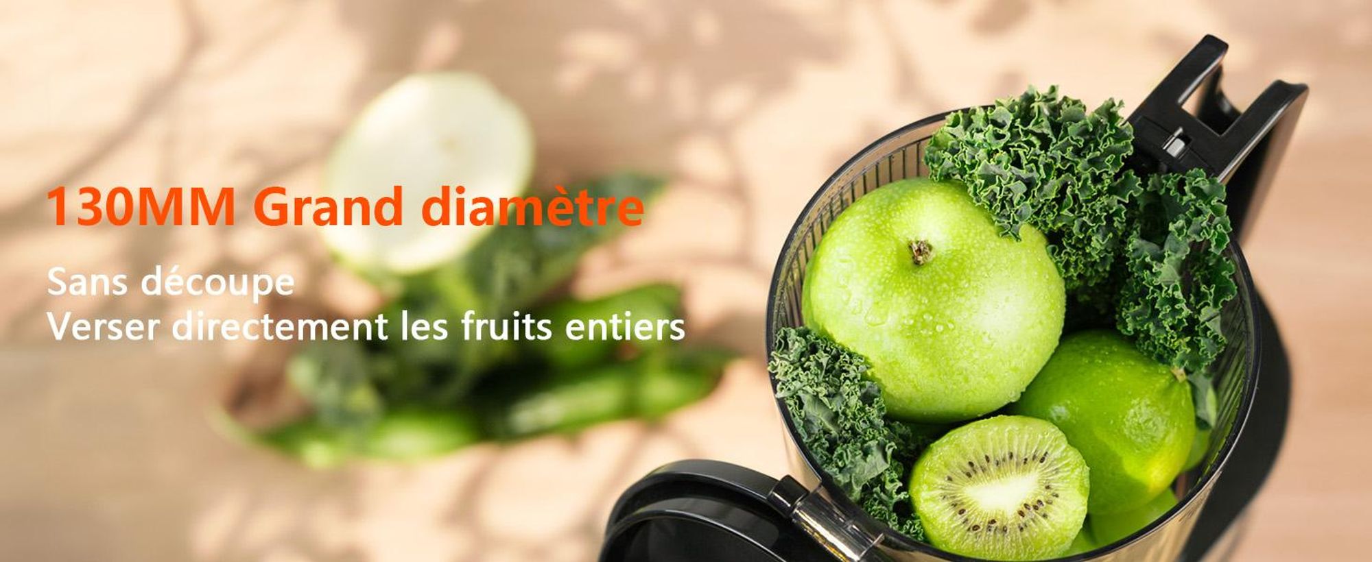 CelerySpec SJ-048-EU-SS Centrifugeuse - Pour légumes et fruits entiers Puissance 250W Capacité 1.8L Extracteur de jus Matériau alimentaire - Argenté