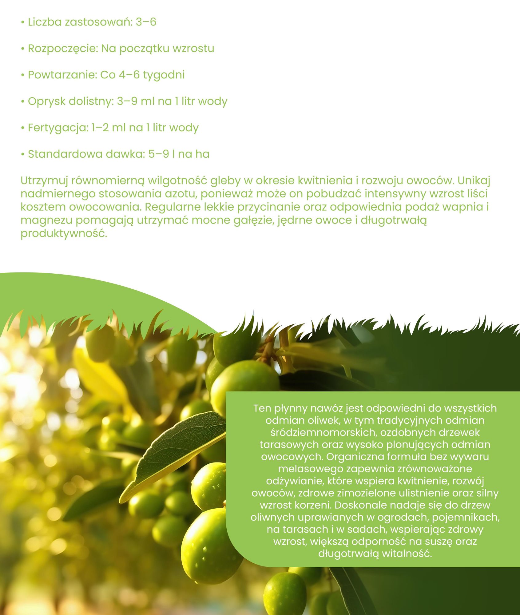 Drzewo Oliwne Nawóz Płynny 1 L – 2-1-8 NPK – Do Olivovníky – Podporuje Bujne Liście, Stabilne Vetvy i Tvorbu Plodov – Organifer