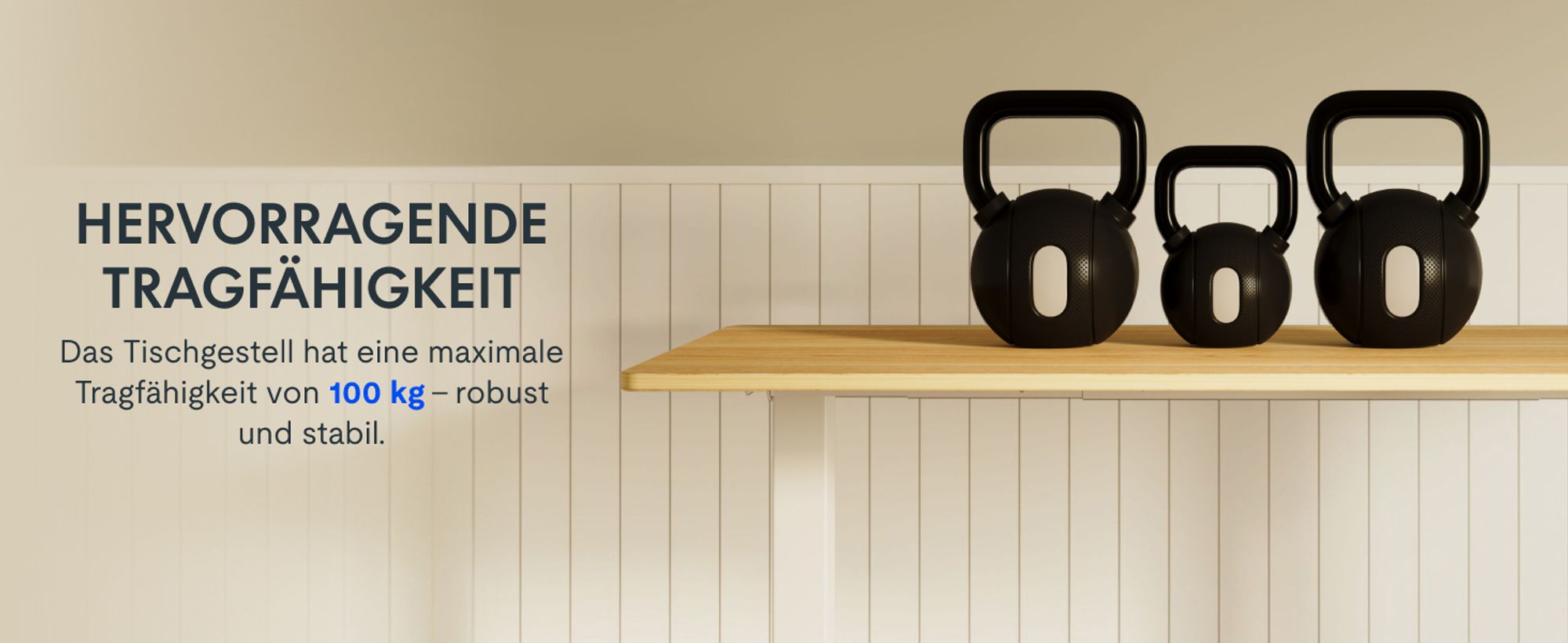 FlexiSpot höhenverstellbarer Schreibtisch elektrisch 120x80cm mit Dualmotor, 25MM einteiliger Tischplatte&3-fach Teleskop EC5 LITE (Weiß)