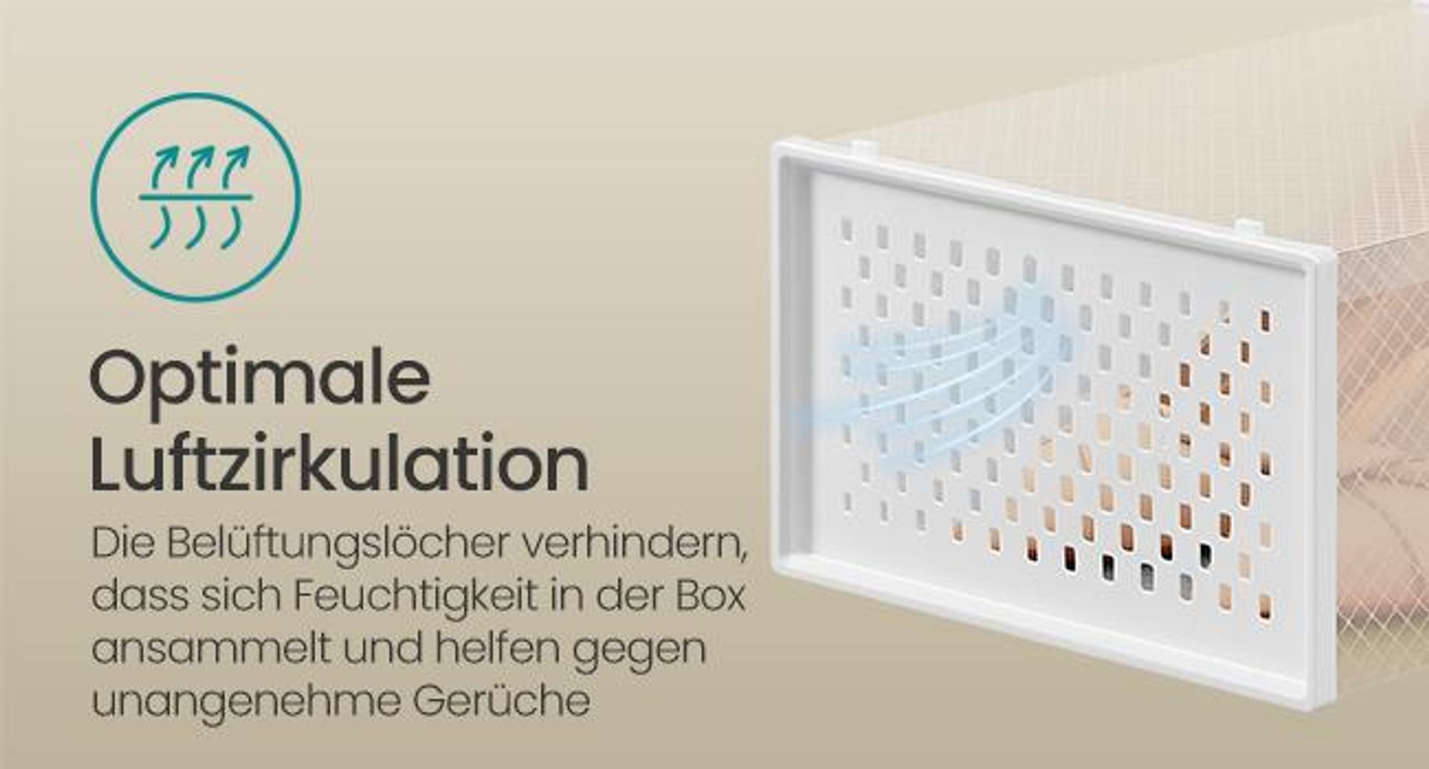 SONGMICS Schuhboxen 8er Set Aufbewahrungsboxen Schuh-Organizer Größe 44 weiß