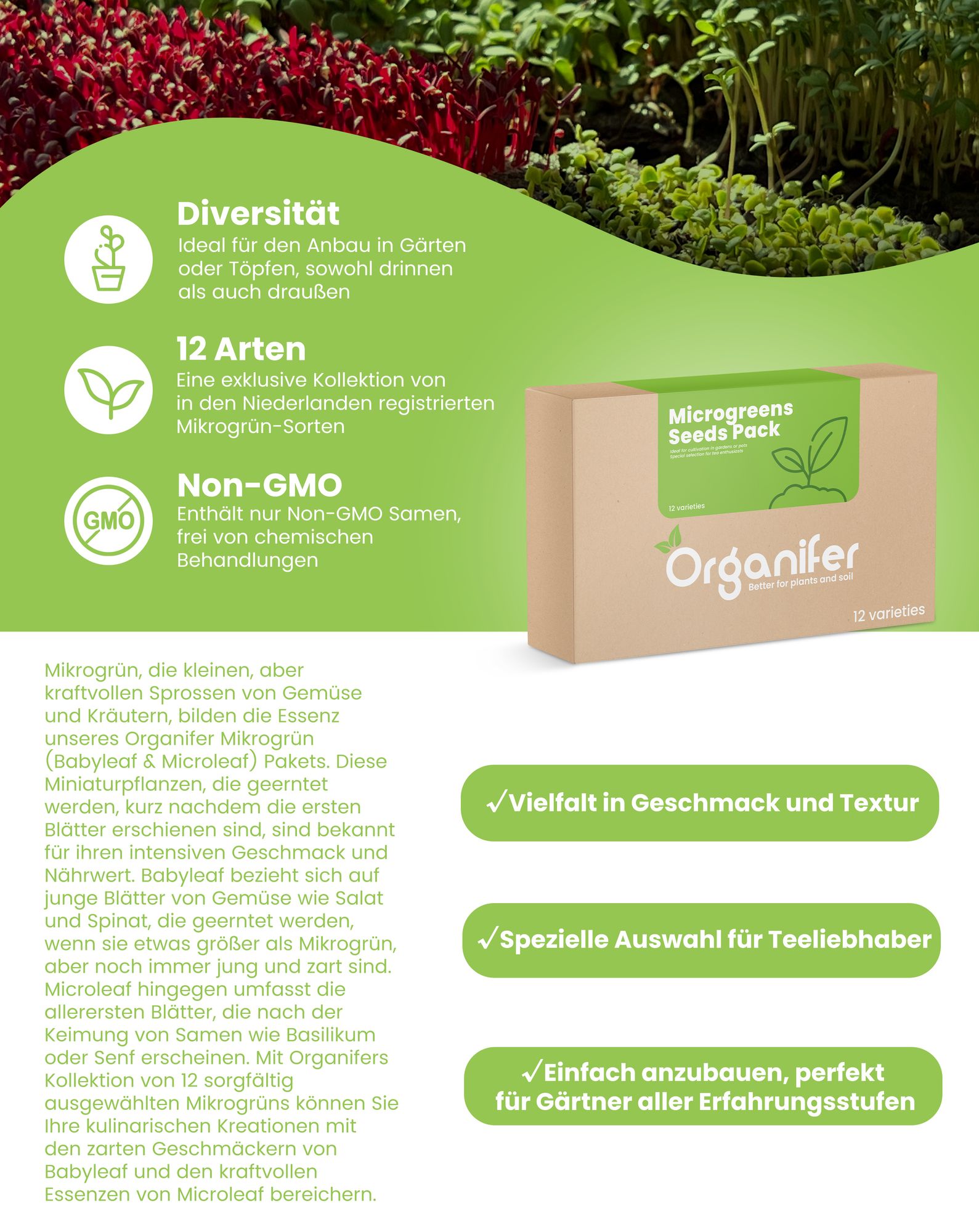 Mikrogrün (Babyleaf & Microleaf) Paket - 12 Arten