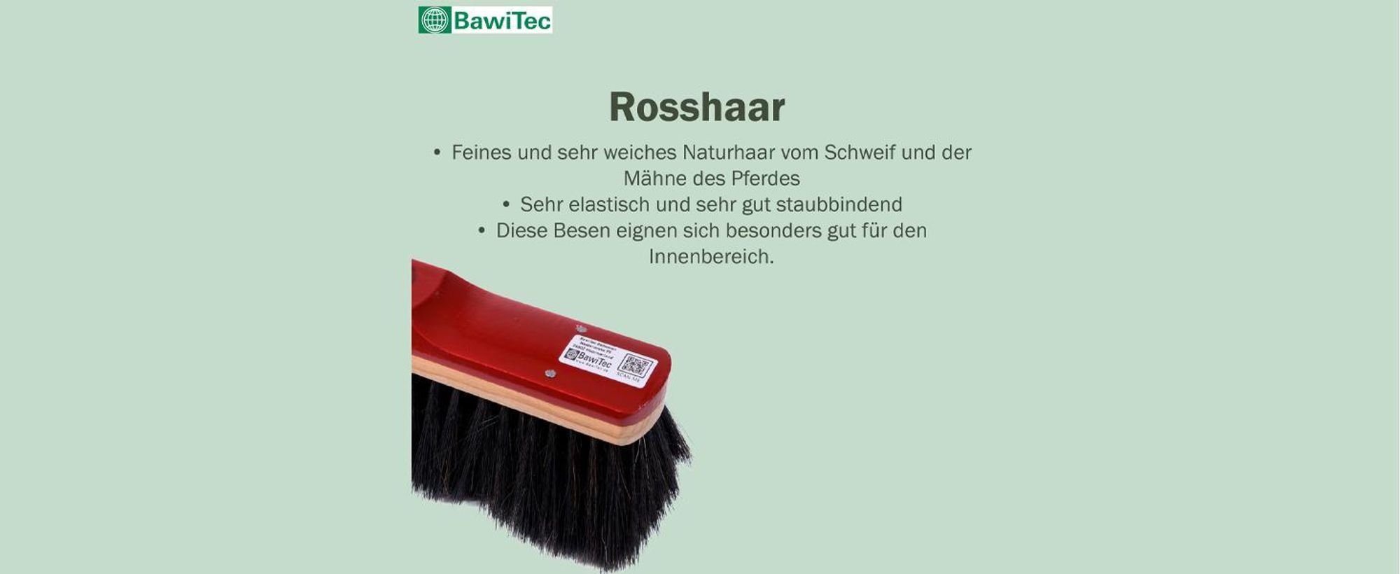 BawiTec Echt Rosshaarbesen Zimmerbesen 30cm lackiert Kehrbesen Rosshaar weich
