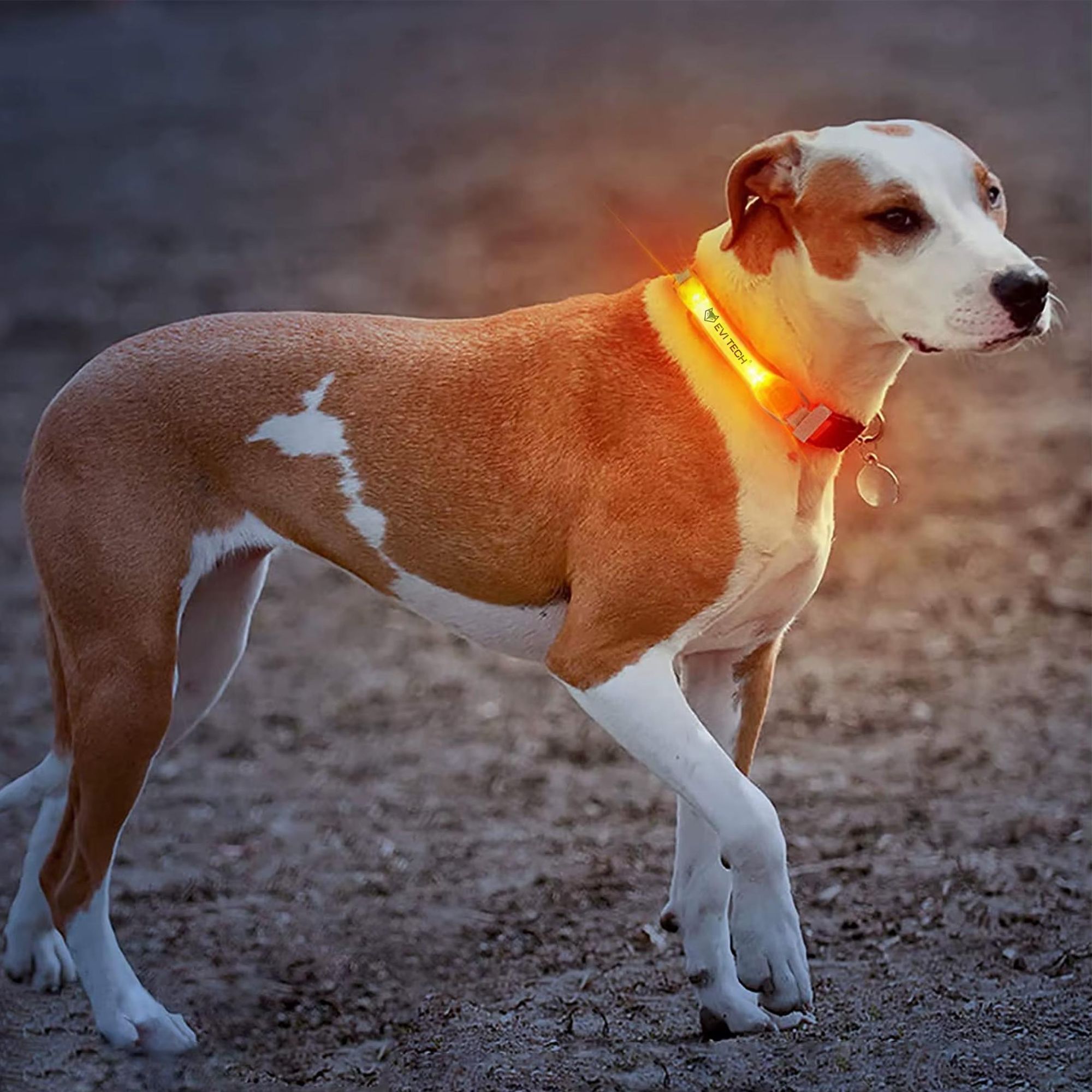 LED Leuchtarmband 2er Set (Gelb & Rot), Wasserdichtes Reflektorband für Laufen & Fahrrad, Sicherheitslicht mit Batterien, EVI TECH ActiveGlow
