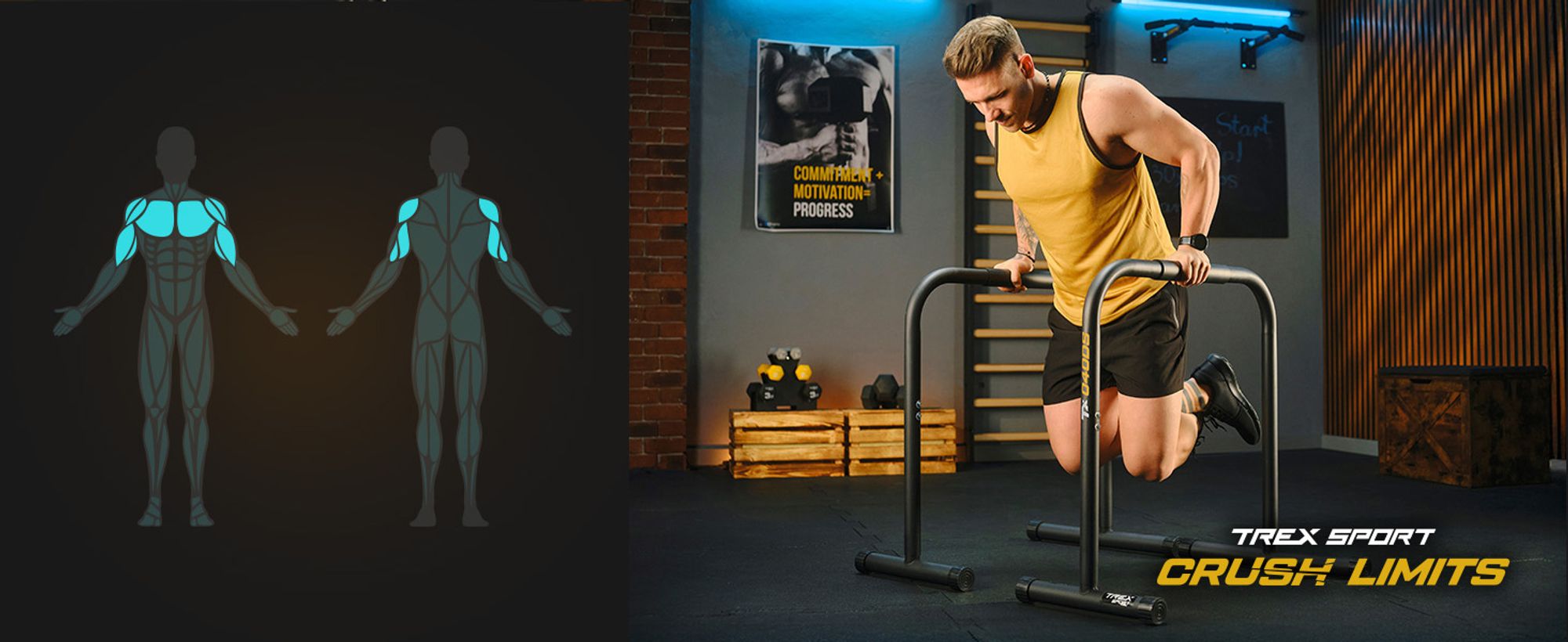 TREX SPORT Dip Barren 2er Set TX-040DS | Dip Station bis 200 kg, höhenverstellbar | Parallettes Calisthenics Equipment