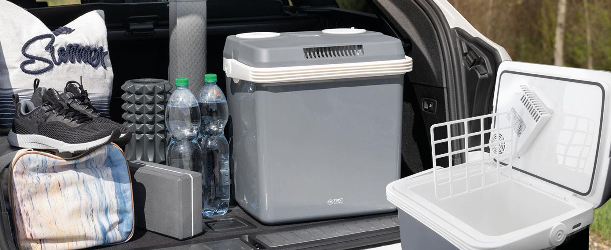 TZS First Austria - Kühlbox 32L elektrisch 12V 230V Anschluss für Auto & Steckdose - Thermoelektrisch - Grau