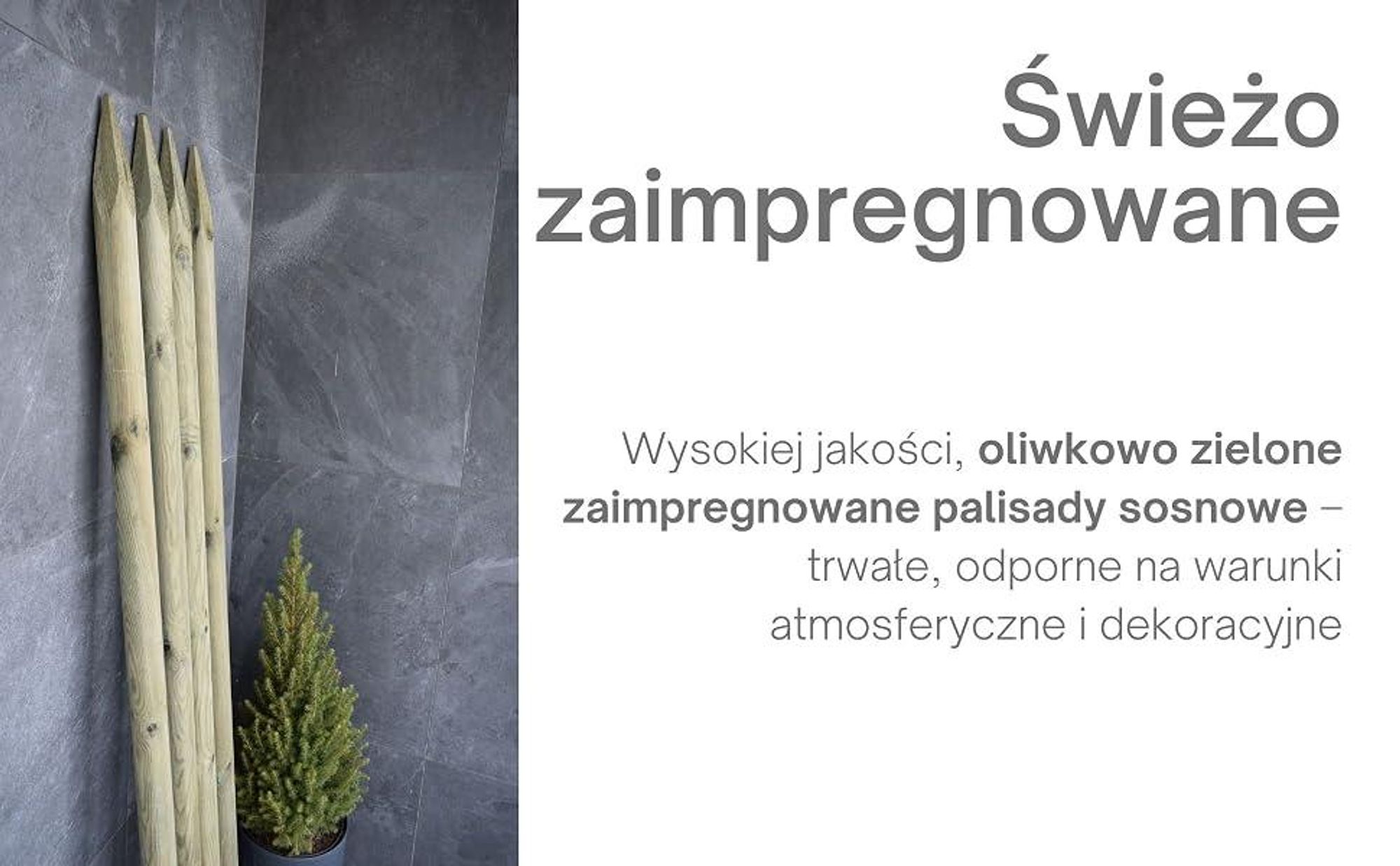 TIMBERMIK Palisada Drewniana Ø7 cm 240 cm 4 szt. Paliki Sosnowe do Drzew i Ogrodu Impregnowane Kolor Oliwkowo-zielony