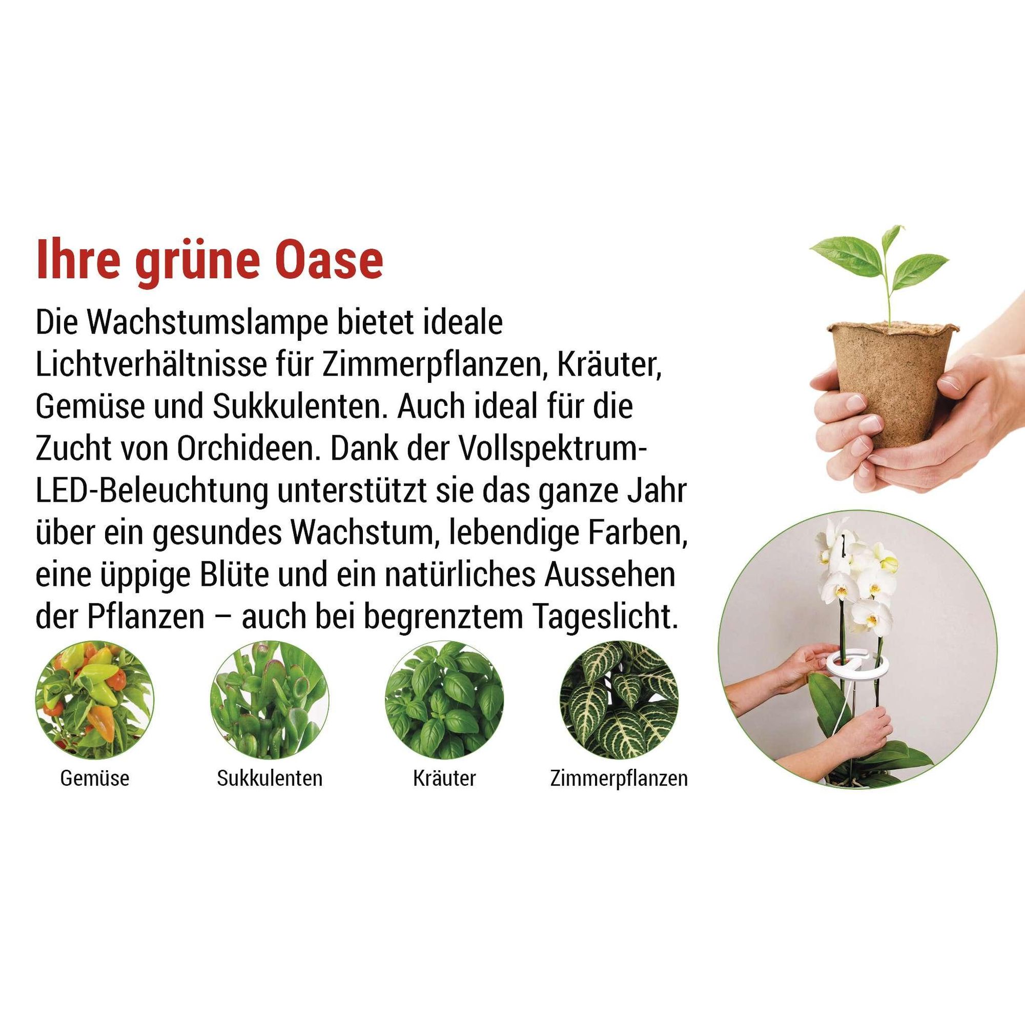 EMOS LED-Grow-Lampe für Zimmerpflanzen und Sukkulenten, runde Wachstumslampe für Orchideen mit Timer, höhenverstellbar, 300lm, 1,7m USB-Kabel, Z7902