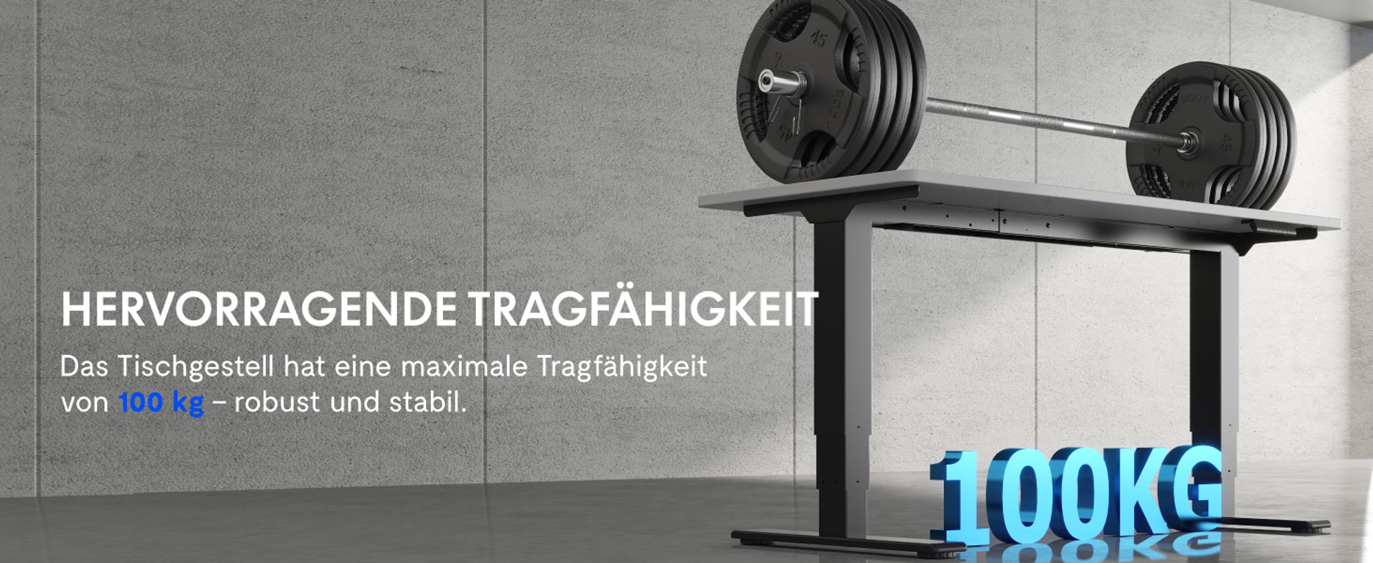 FLEXISPOT EC5-Lite Elektrisch Höhenverstellbares Tischgestell,Doppelmotor, 3-stufige Beine, 100kg Tragkraft,4 Speicherplätze, Kollisionsschutz,Schwarz