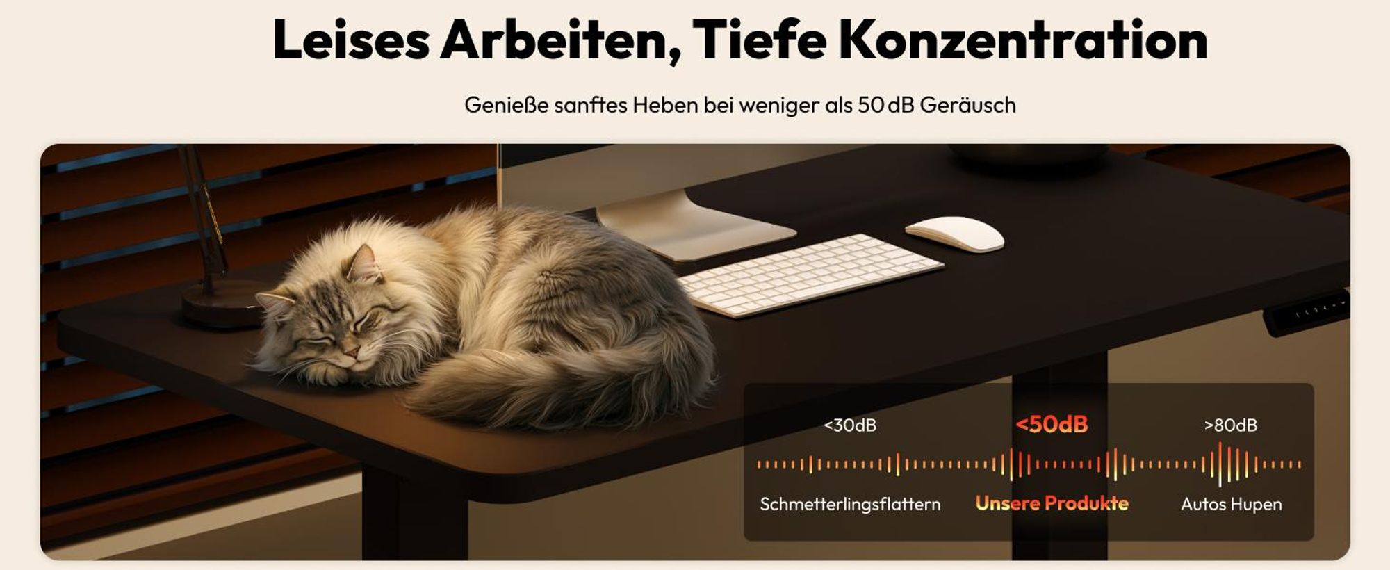 SANODESK QS1 Höhenverstellbarer Schreibtisch Elektrisch EINTEILIGE TISCHPLATTE, 4 Speicherplätzen, Haken & Kabelmanagement, 120x60cm (Schwarz)