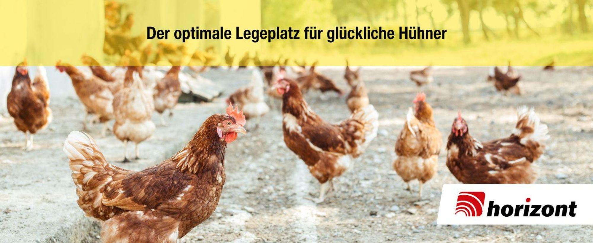 horizont Legenest mit Eiablage, Hühnernest aus Kunststoff, Abrollnest für bis zu 6 Hühner, zur Wandmontage