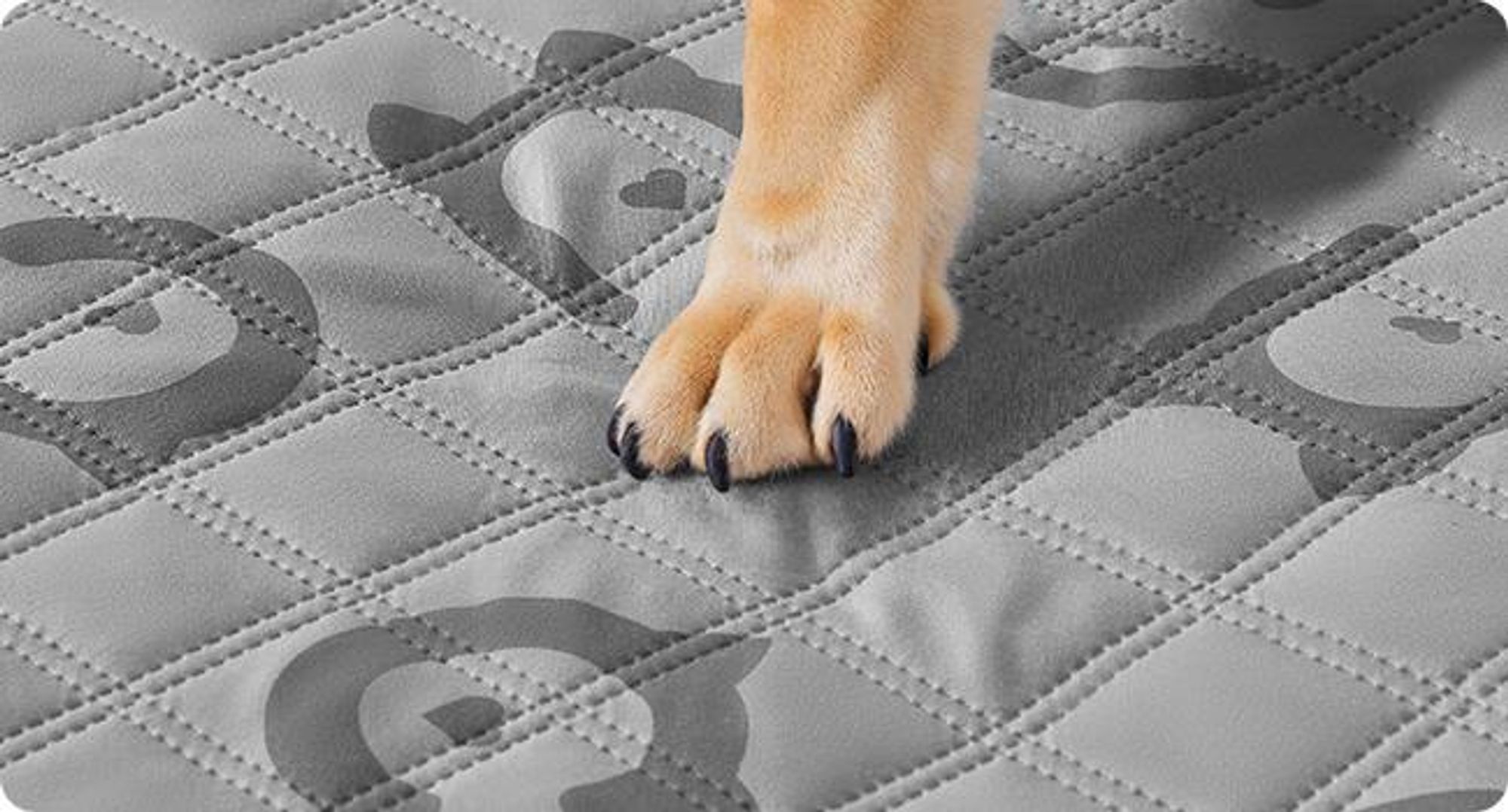 Feandrea Wasserdichte Hundedecke,Autoschondecke für Haustiere, Sofaschutz
