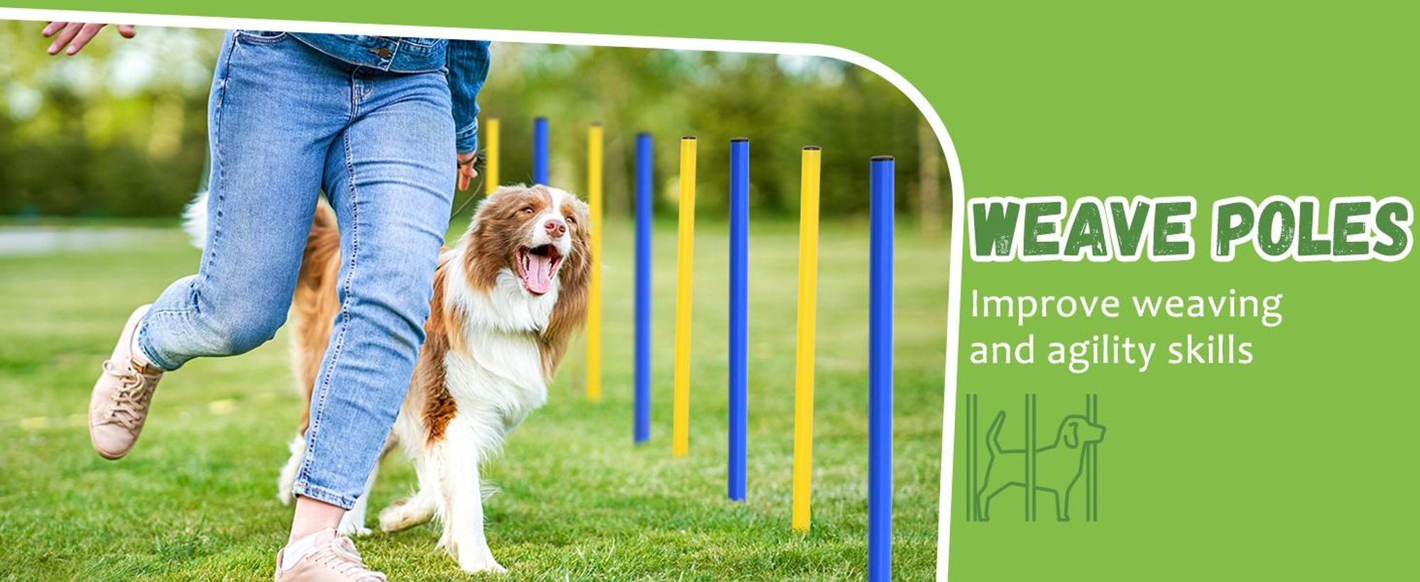PawHut Agility Training Set Slalom Tunnel Dog Sports Training Area PE+Polyester Blue+Yellow