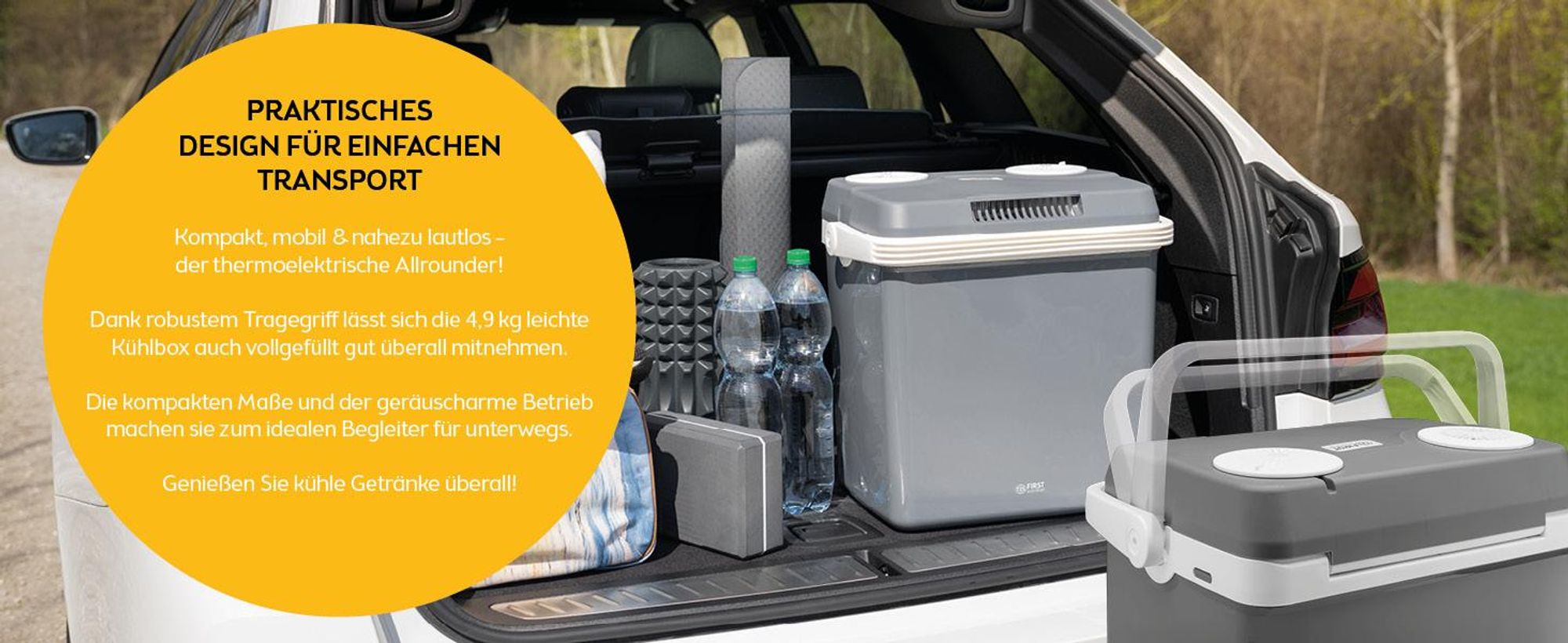 TZS First Austria - Kühlbox 32L elektrisch 12V 230V Anschluss für Auto & Steckdose - Thermoelektrisch - Grau