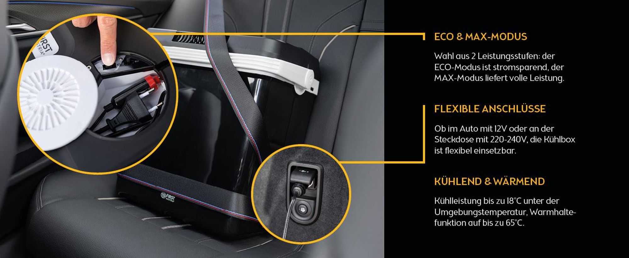 TZS First Austria - Kühlbox 32L elektrisch 12V 230V Anschluss für Auto & Steckdose - Thermoelektrisch - Schwarz
