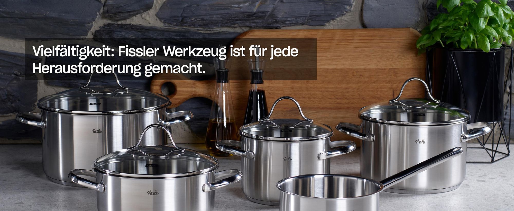 Fissler Catania / Edelstahl-Pfanne (Ø 28 cm), unbeschichtete Stielpfanne, Schmorpfanne, ideal zum krossen Braten, alle Herdarten - auch Induktion