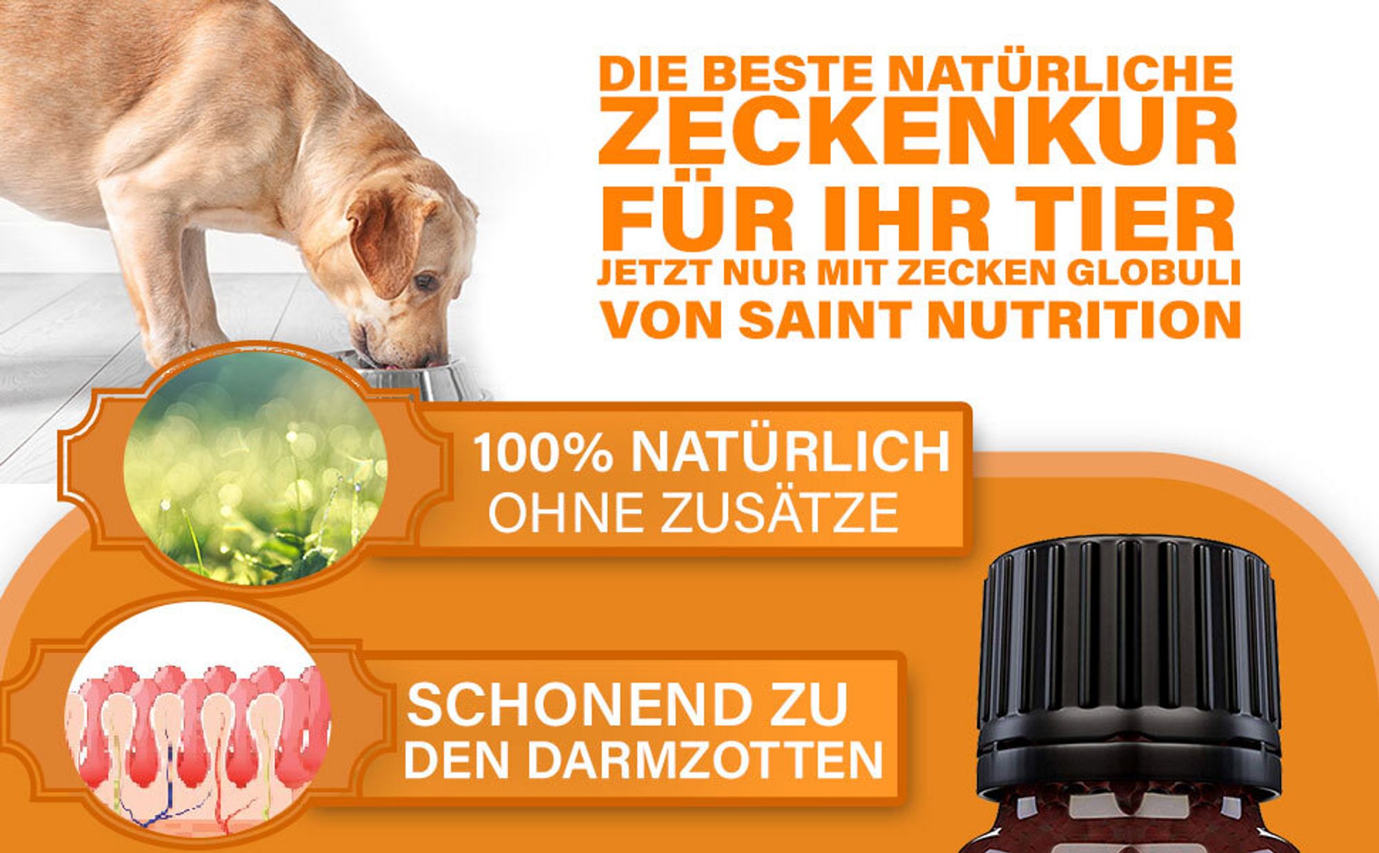 Saint Nutrition®  Zecken+ Kügelchen - zum Schutz vor Zeckenbefall – für Hunde und Katzen – Zeckenschutz Hund – keine Zecken – Zecken - Zecken Hund