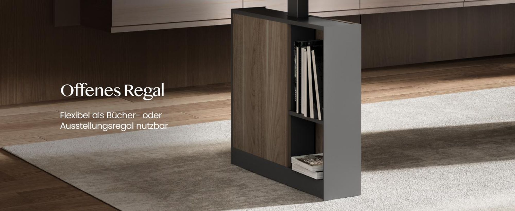 FLEXISPOT  Höhenverstellbarer Schreibtisch 160x80cm mit 2 Schränke, 2 Motoren, 25MM EINTEILIGE TISCHPLATTE, 120 kg Tragkraft, Kabelmanagement, Schwarz