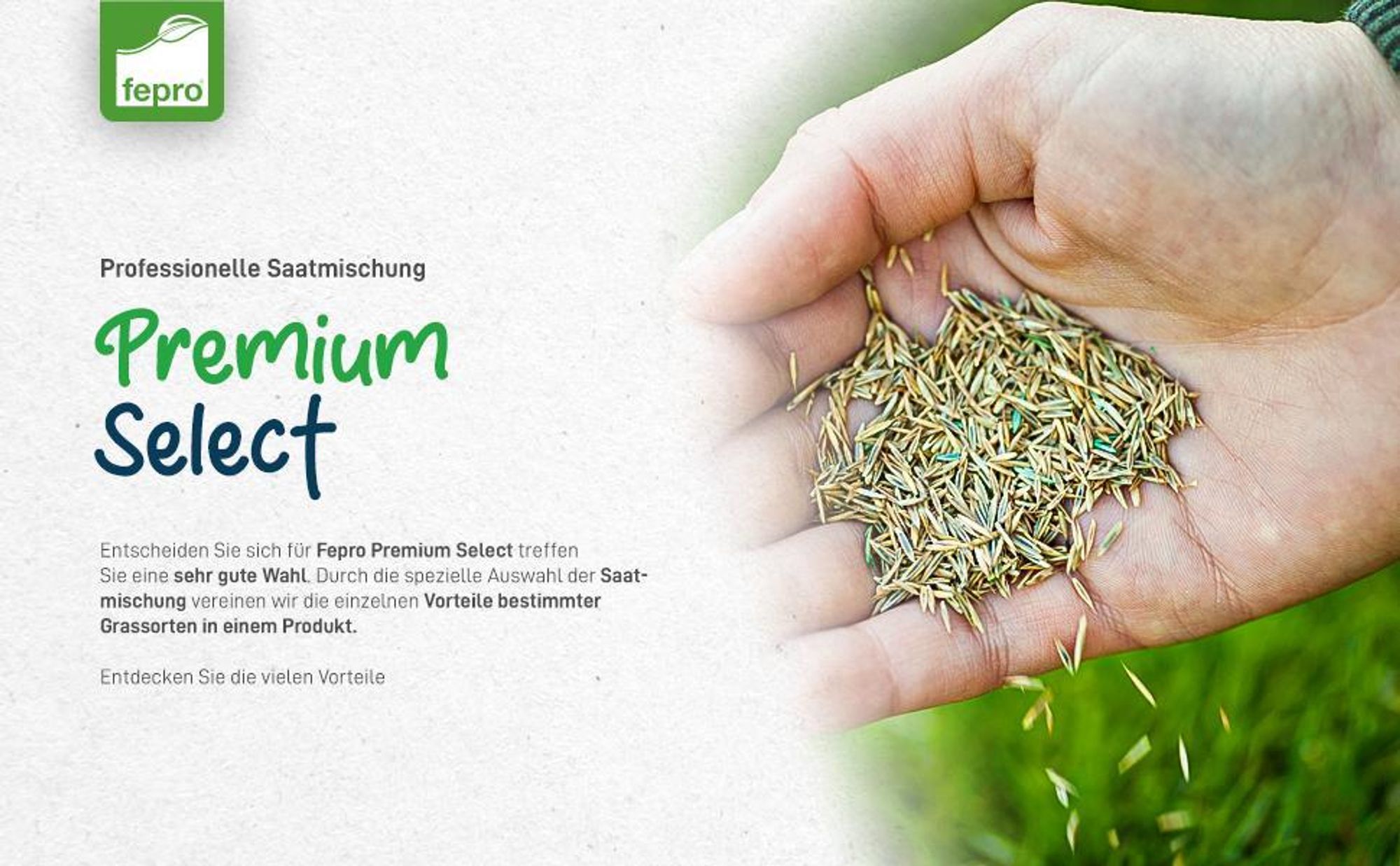 1kg Premium Rasensamen für Profis 40m², Zierrasen Superrasen, besonders dichtwachsend und tiefgrün, ideal für Neuansaat und Nachsaat, Rasensaat Grassamen
