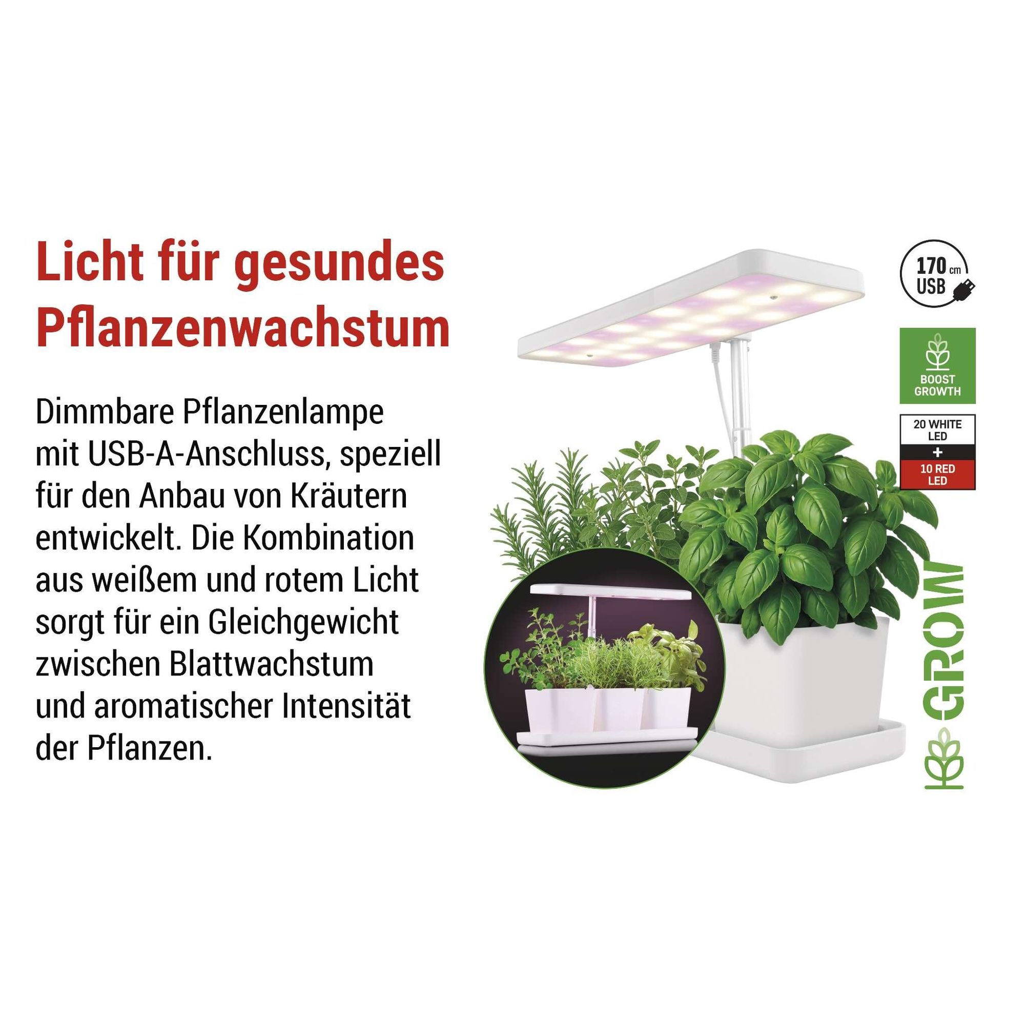 EMOS LED-Grow-Lampe für Kräuter und Zimmerpflanzen, Wachstumslampe mit 3 Blumentöpfen und Timer, höhenverstellbar, 300lm, 1,7 m USB-Kabel, Z7904