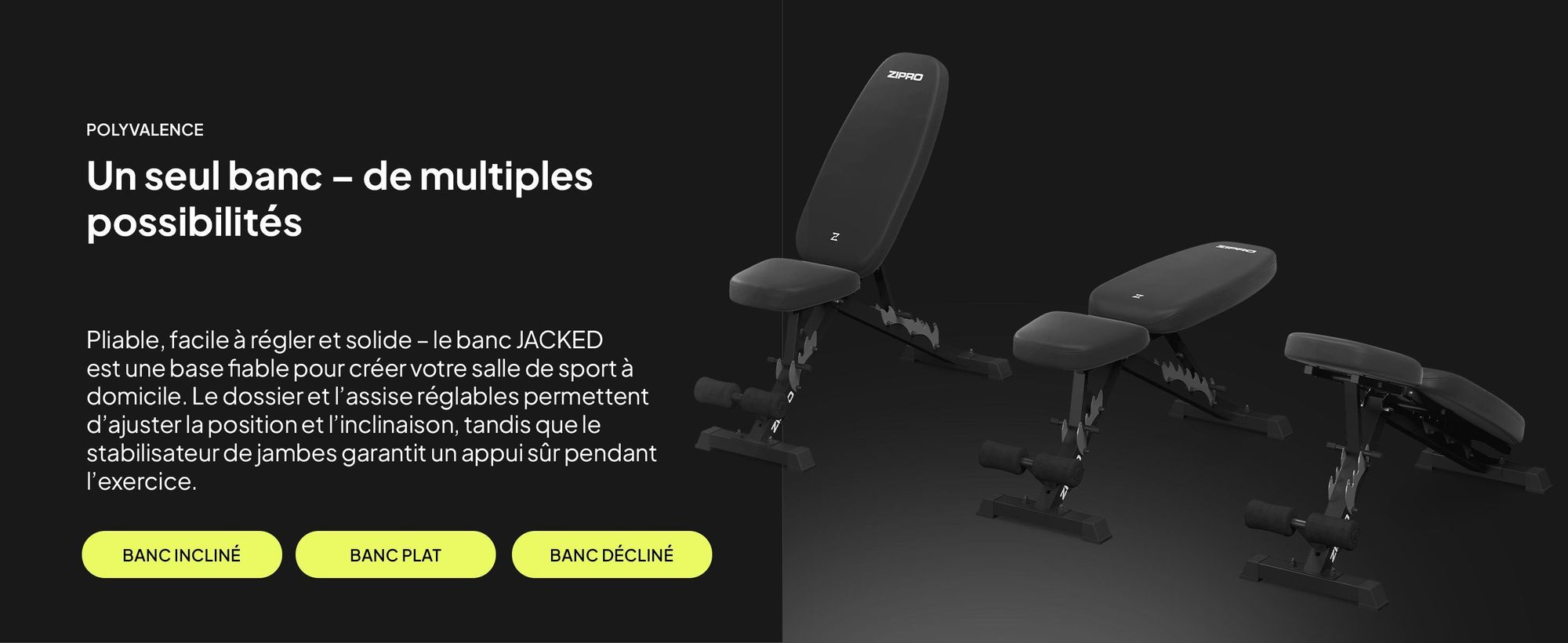 Banc de musculation pliable Zipro Profi Jacked – Banc inclinable et banc négatif réglables (7+3 niveaux) Rembourrage extra épais Banc d'entraînement résistant pour la maison