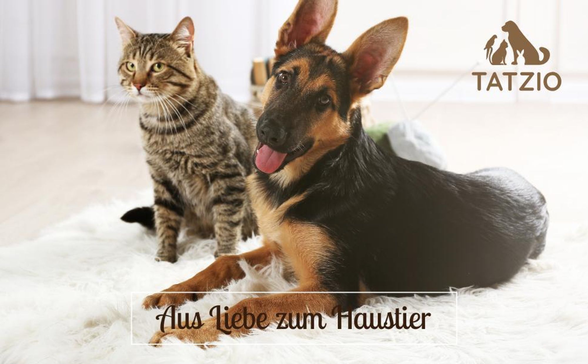 Hund und Katze- TATZIO aus Liebe zum Haustier