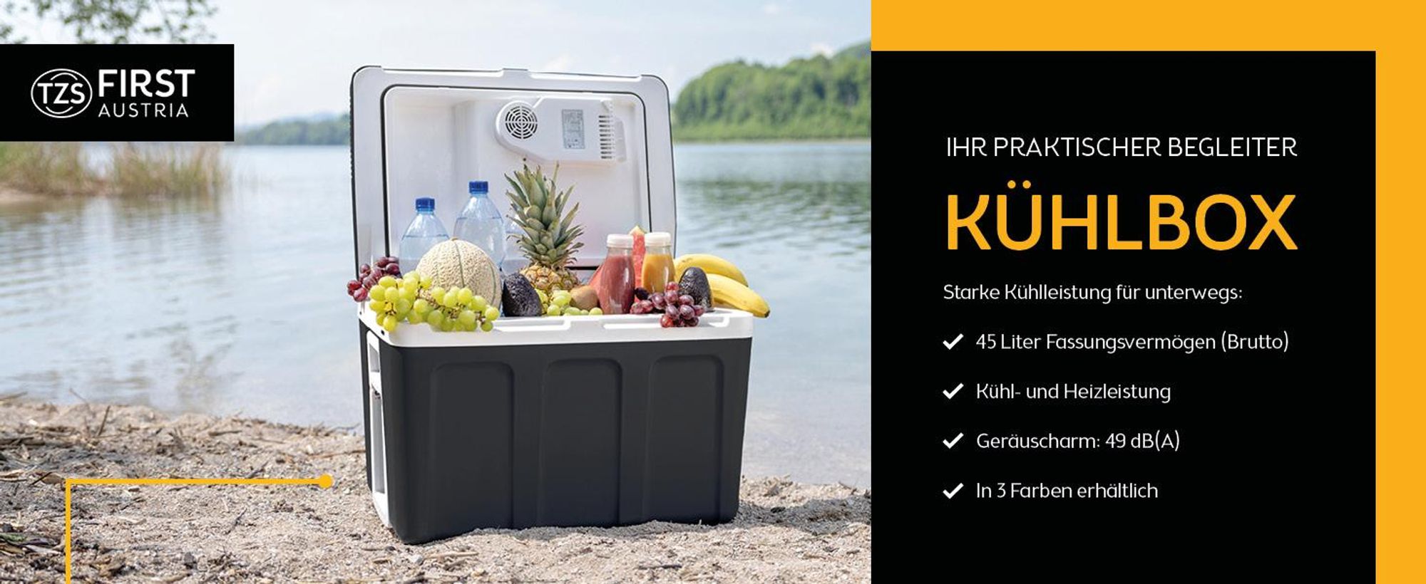 TZS First Austria - Kühlbox 45L elektrisch 12V 230V Anschluss für Auto & Steckdose - Thermoelektrisch - Schwarz
