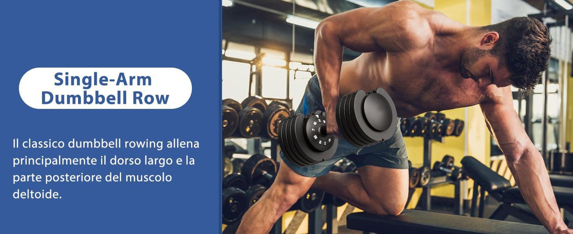 DH FitLife Set Manubri Regolabili 2-12 kg con 5 Livelli di Peso e Base Porta Pesi per Allenamento Casa